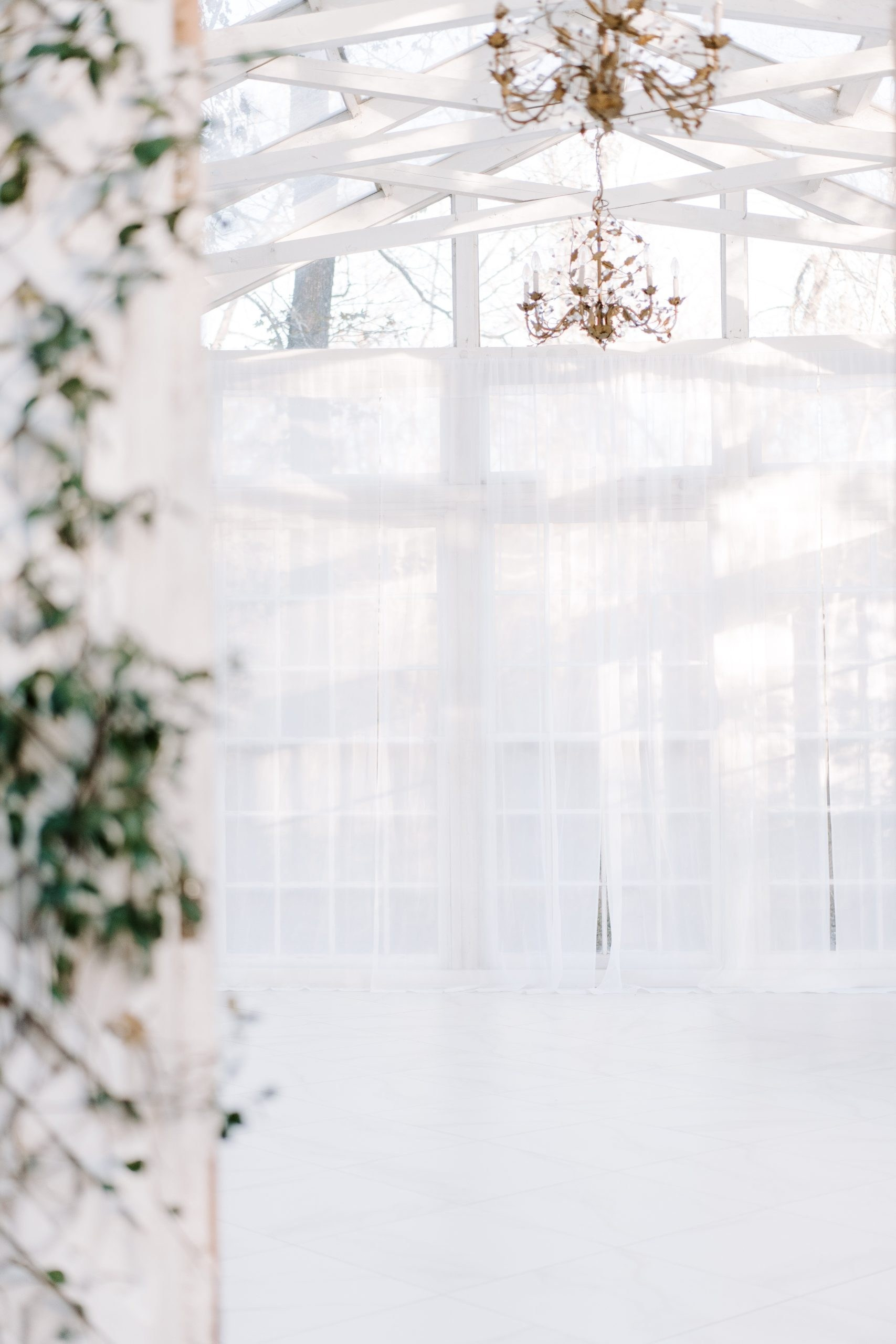THE WILLOW — STUDIO MINIS. Iryna Yaremchuk | Family & Maternity Photographer in Houston, TX