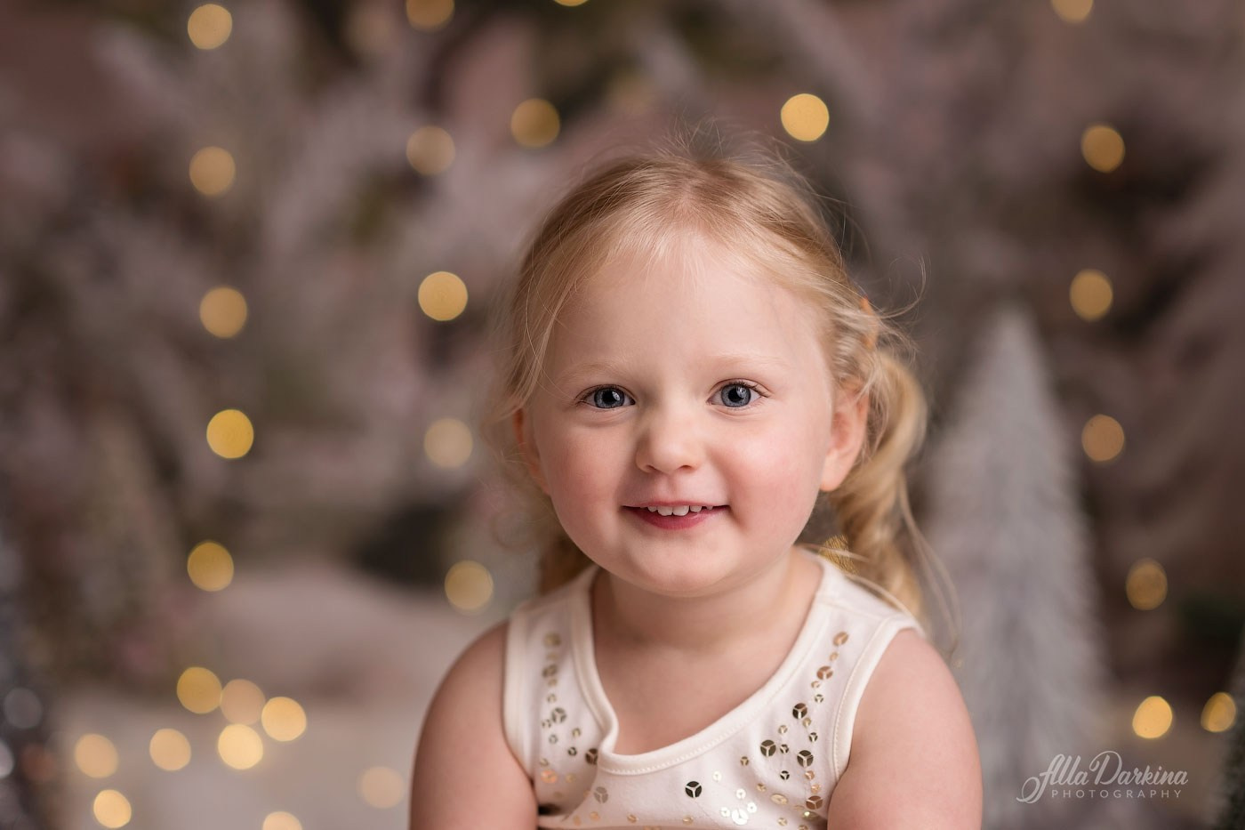 Christmas mini sessions 2025| Sydney. Newborn and family photographer. Hills District. Sydney