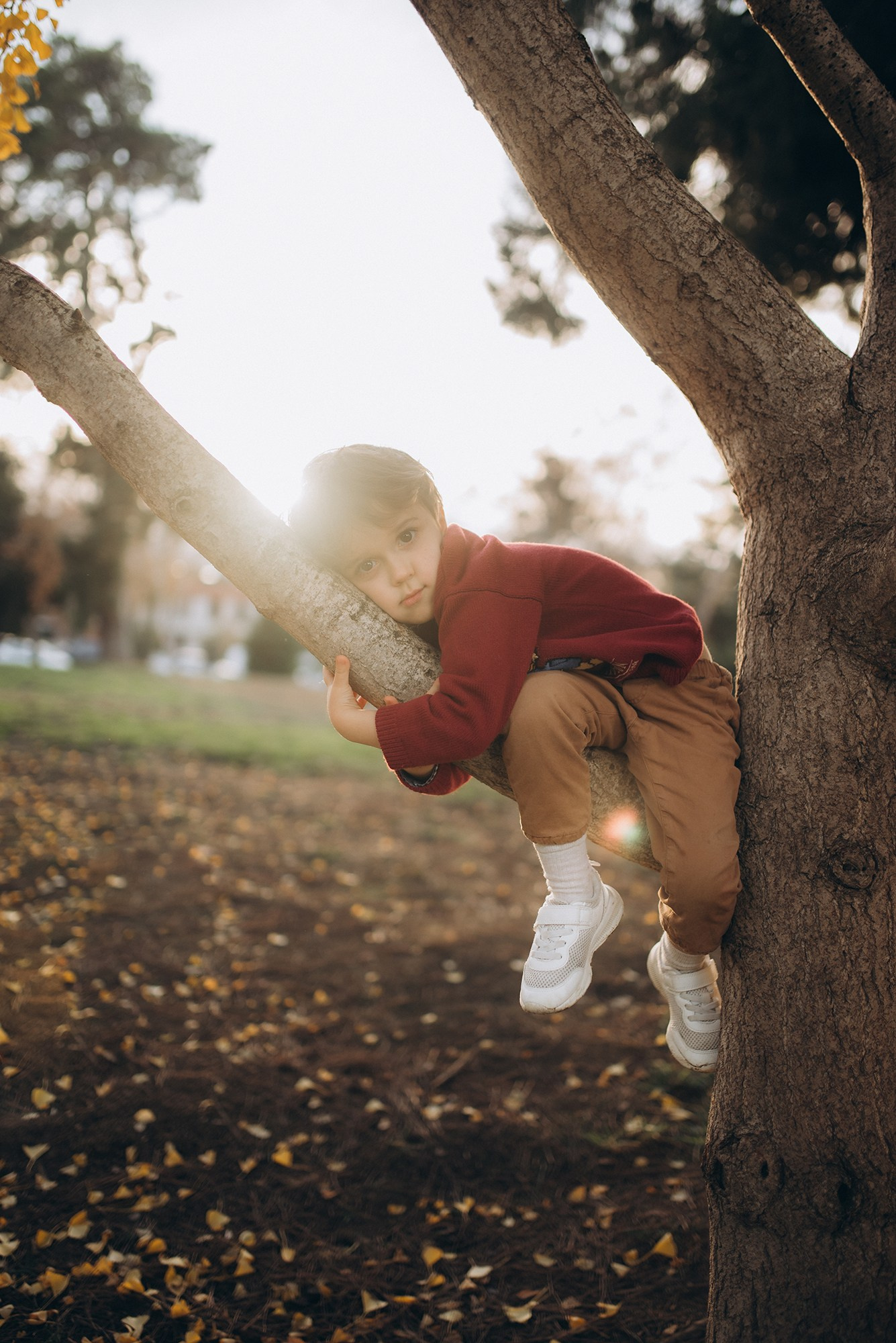 Family Photography. Bay Area Family Photographer — Sovanna