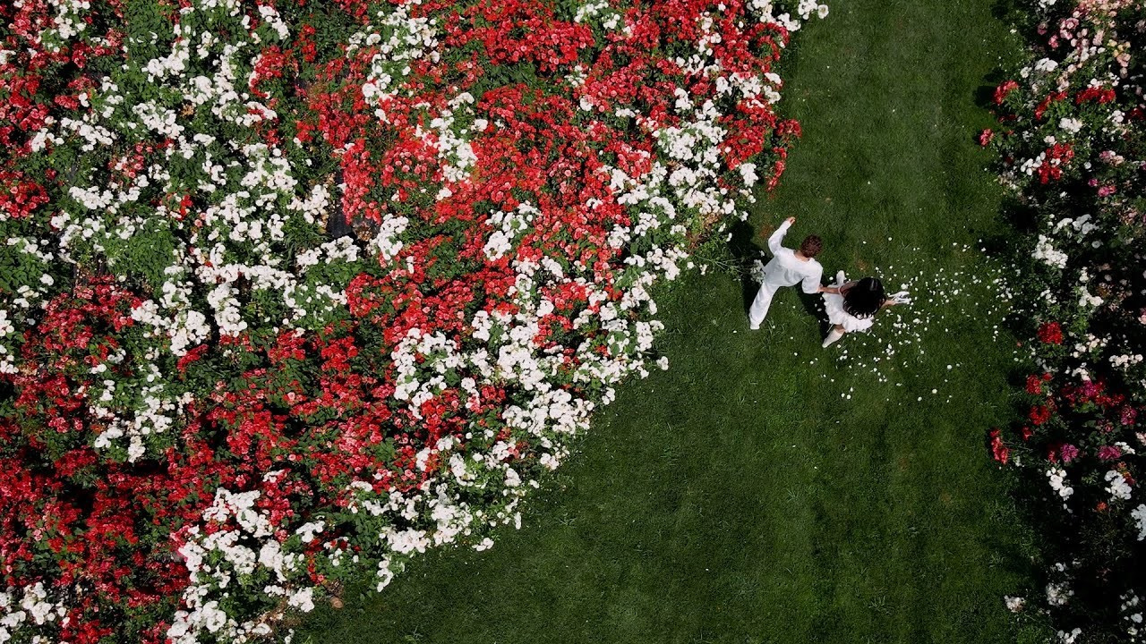 Wedding stories. Videographers Storytellers film Italy France
