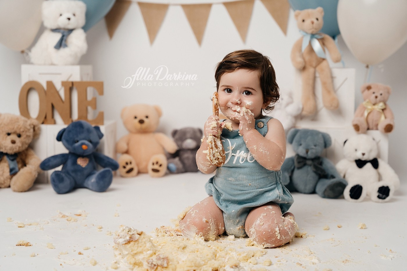 Teddy bear cake smash session. Newborn and family photographer. Hills District. Sydney