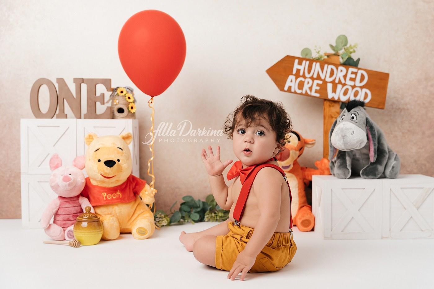 Winnie The Pooh cake smash session. Newborn and family photographer. Hills District. Sydney