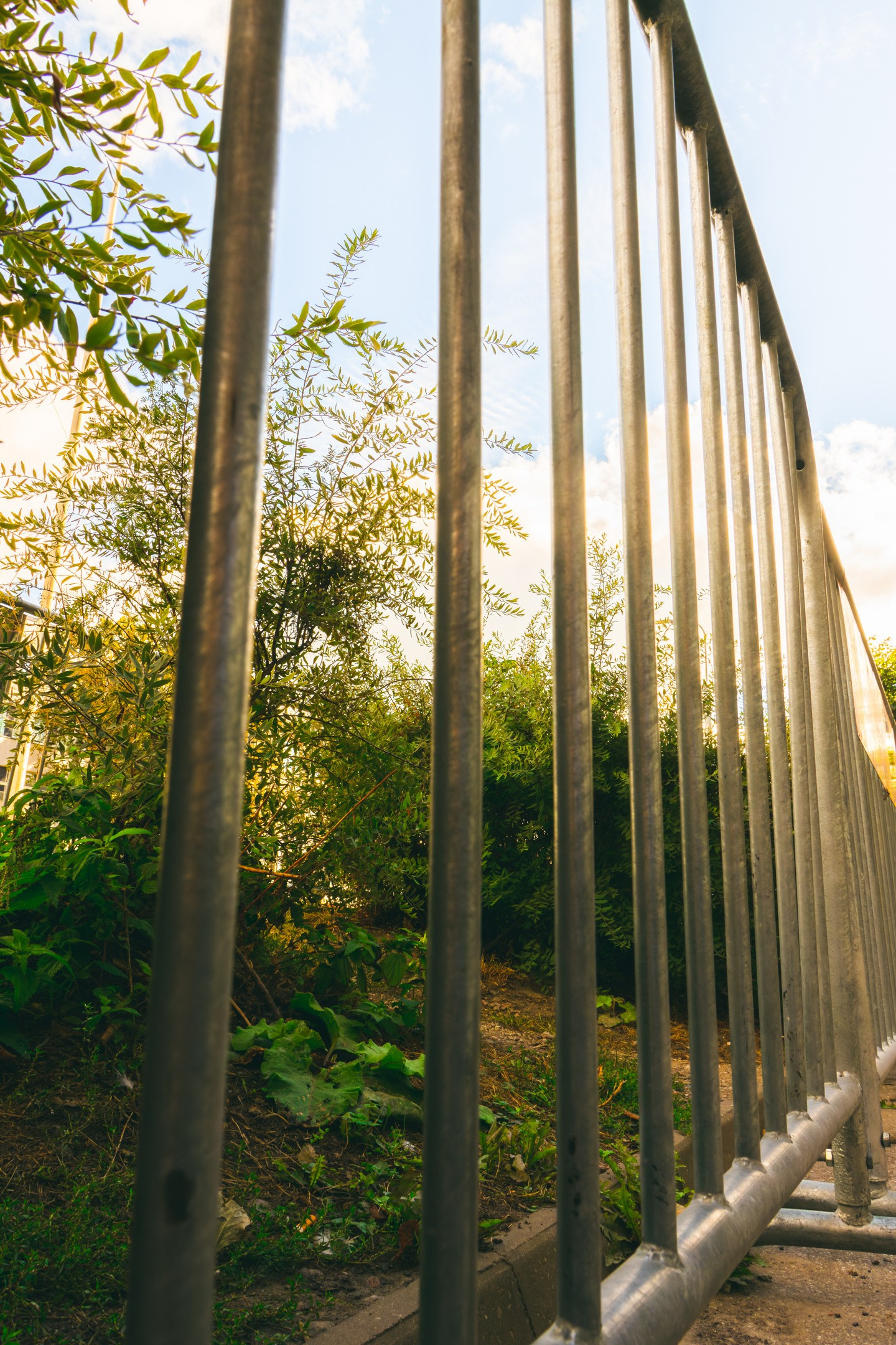 Nebula 25 — Fotod teie hingele