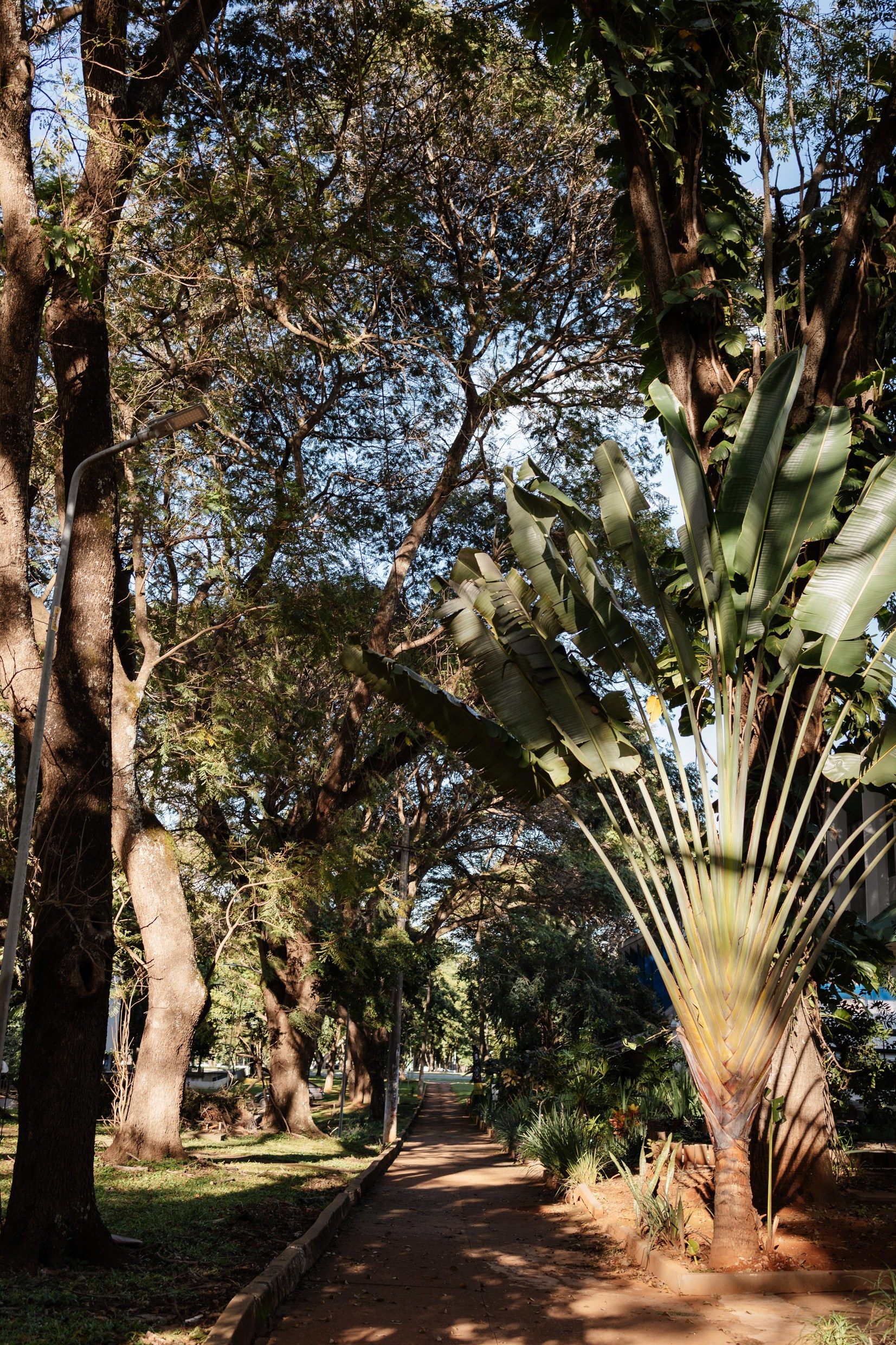 Ensaio mãe e filhos em Brasília • Asa Norte | Fotografia de Família. Fotógrafa em Brasília e Recife | Ensaios de família, gestante e festas infantis — Ize Fotografia