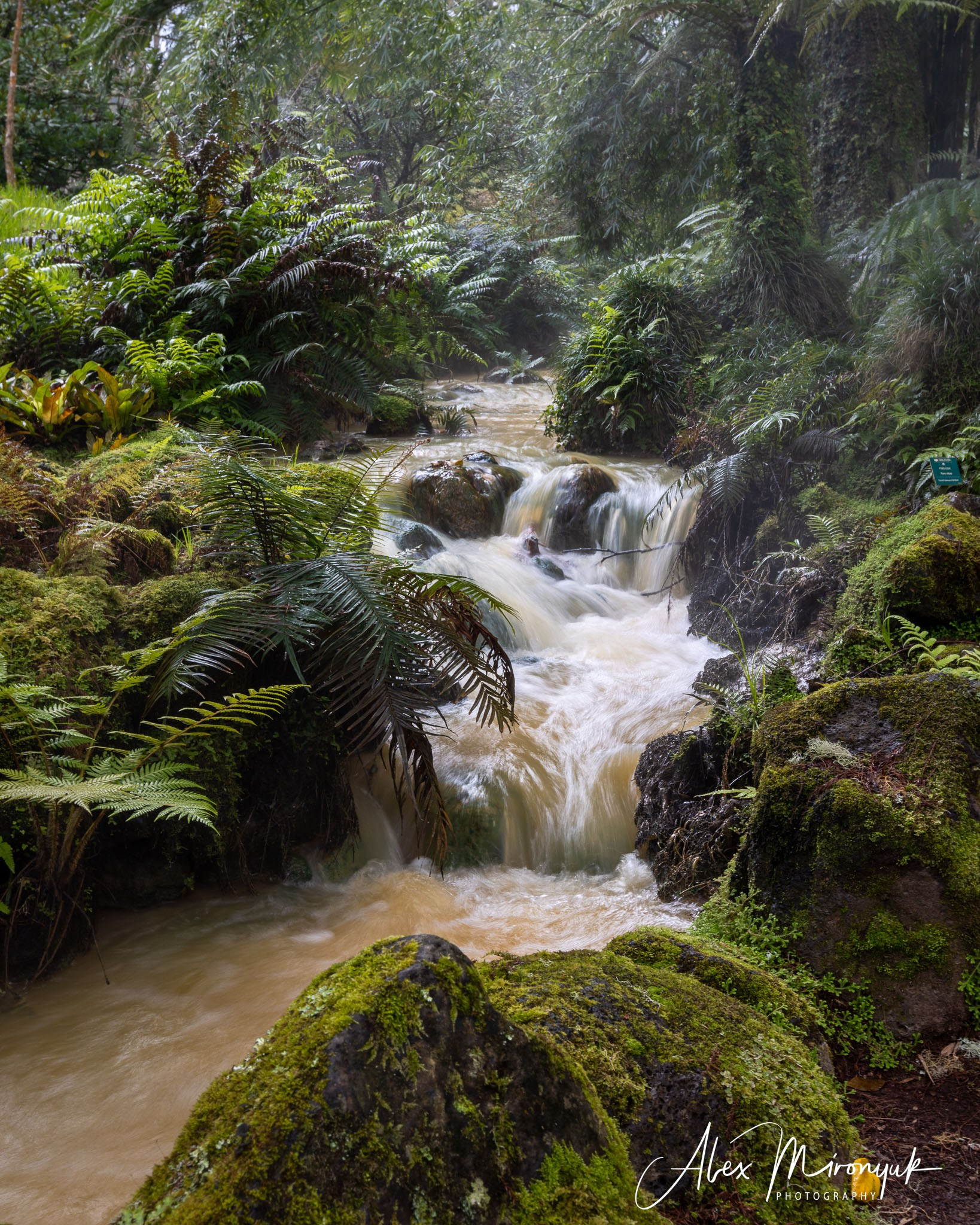 Azores And Madeira. Alex Mironyuk Photography