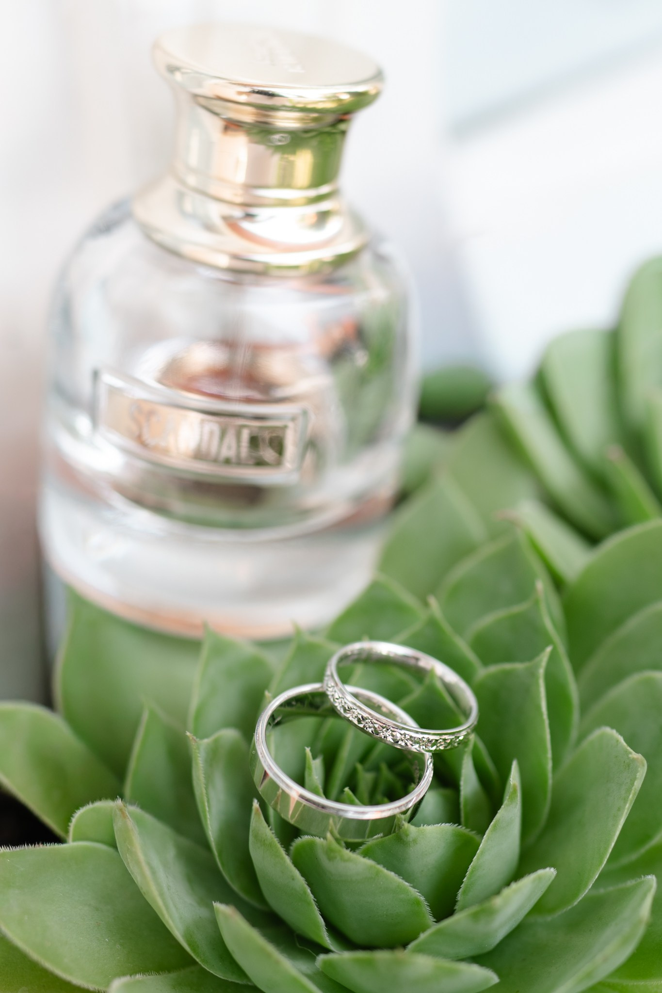 About me. Alexandra Hanu Photographer