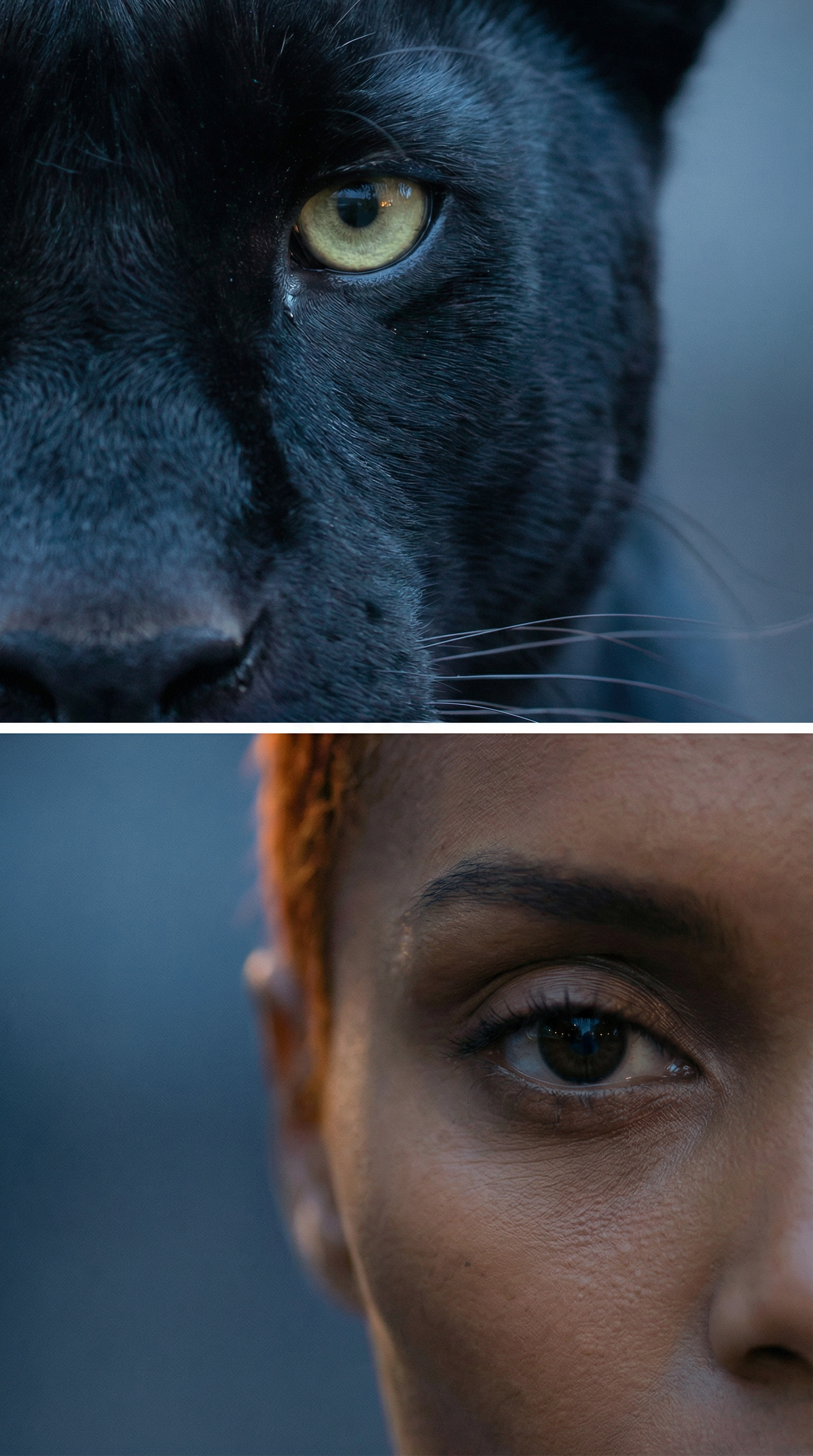 Парфюм «FERA». Frame Architect