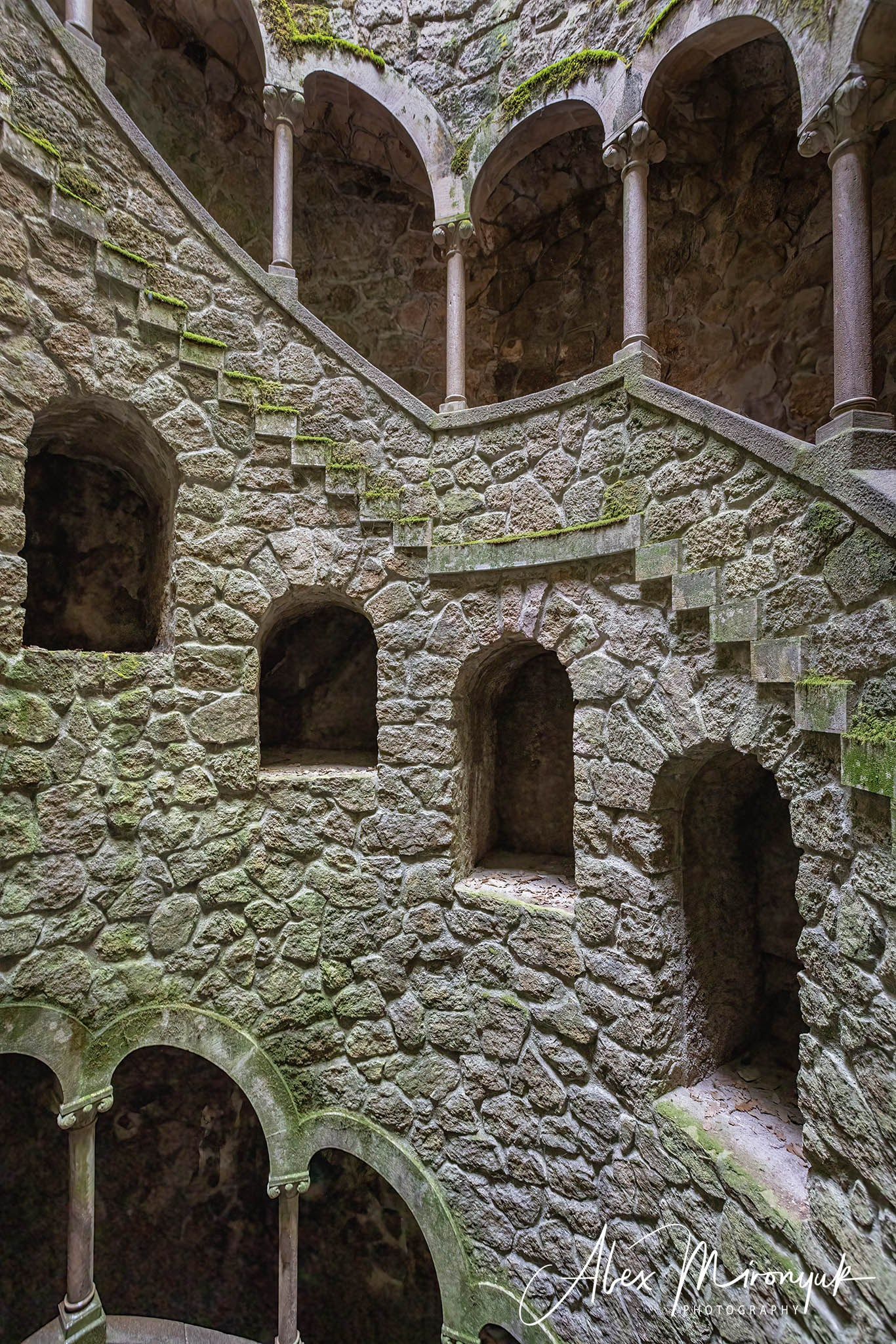 Portugal’s Scenic Treasures. Pet, Senior, Landscape, portrait studio, photographer in Miami and Sou