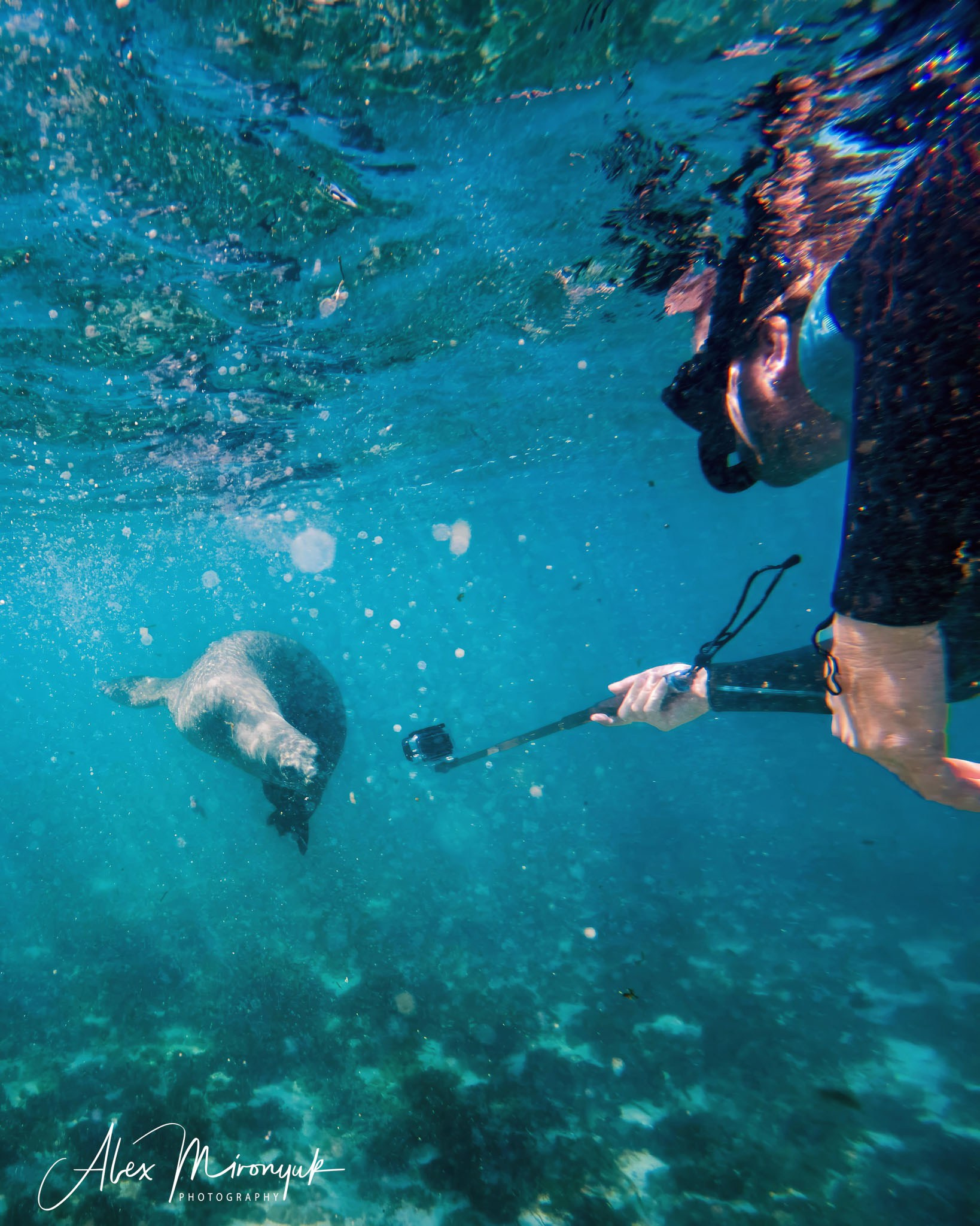 Galapagos Islands Adventure. Alex Mironyuk Photography