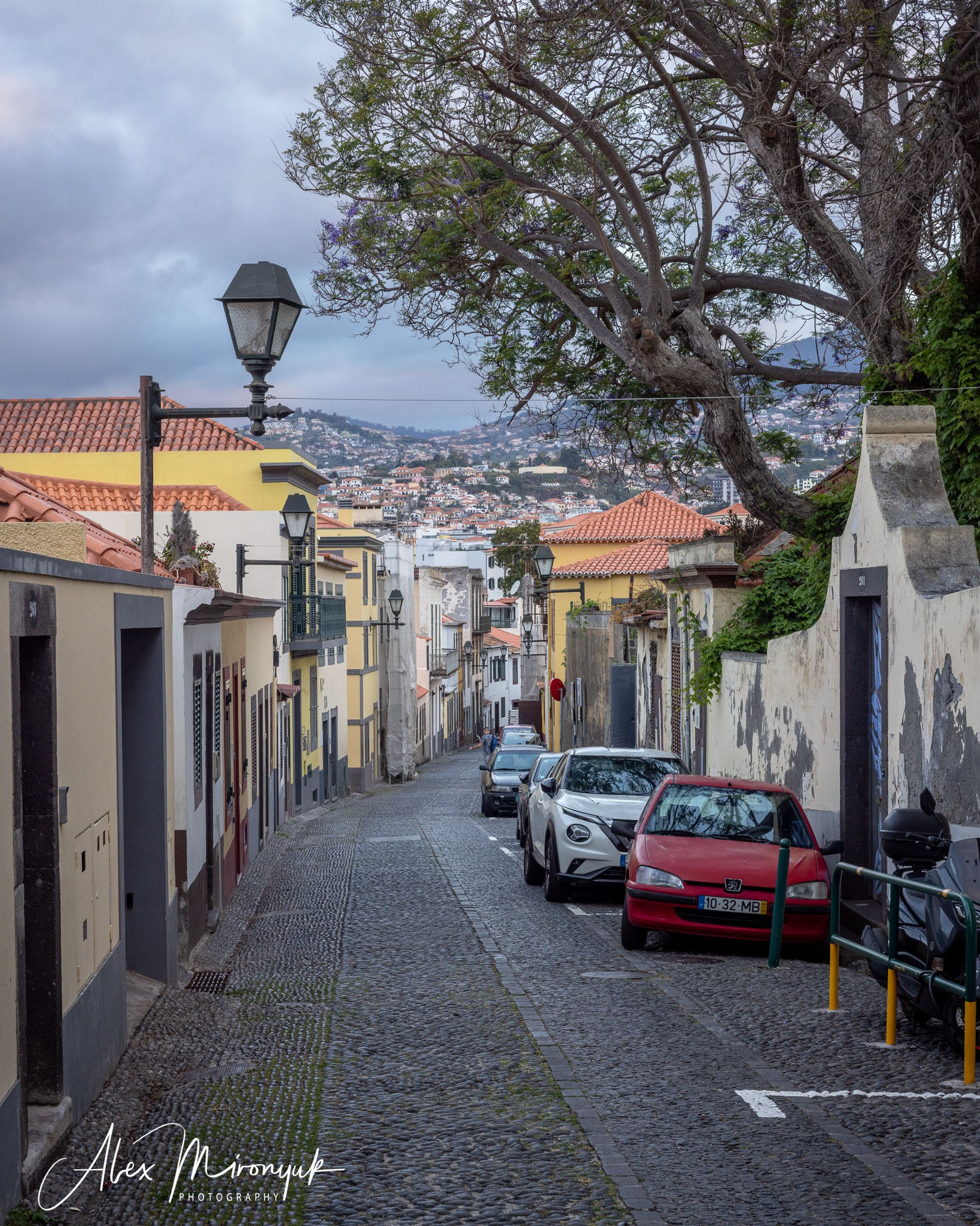 Azores And Madeira. Alex Mironyuk Photography