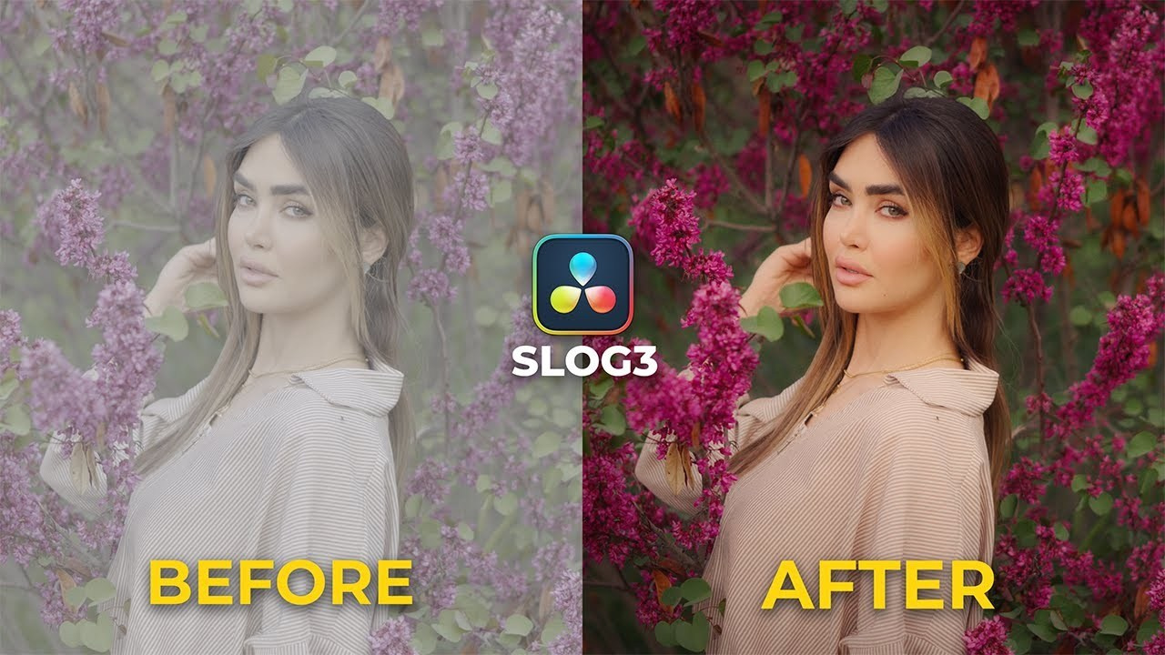 Cinematic S-Log3 Footage for Color Grading | Download Log Footage by Mehran Hadad. Mehran Hadad — Portrait Photographer, Filmmaker and YouTuber
