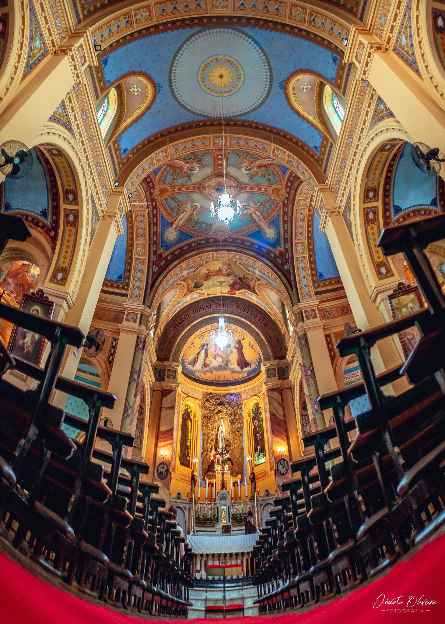 fotografia de casamento