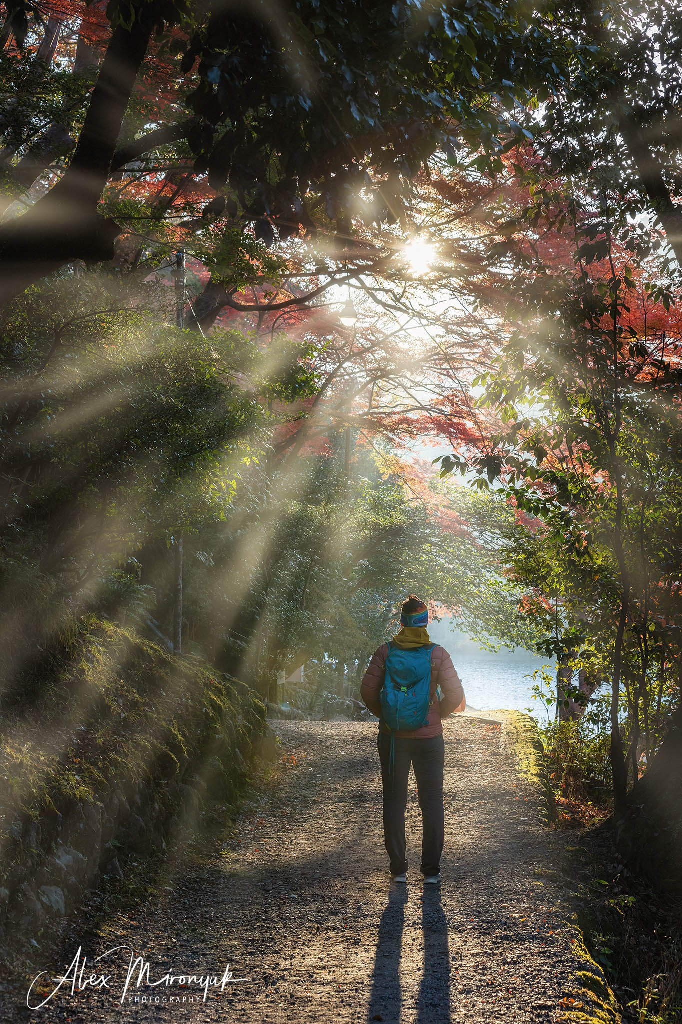 Autumn Colors of Japan. Pet, Senior, Landscape, portrait studio, photographer in Miami and Sou