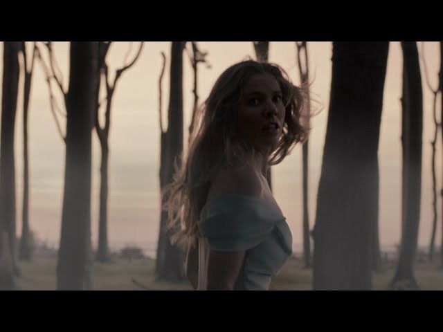 Beauty Meets Branding with Victoria Swarovski in a High-Impact Campaign that we designed for the billionaire heiress!” 💎🔥. Charley Stadler