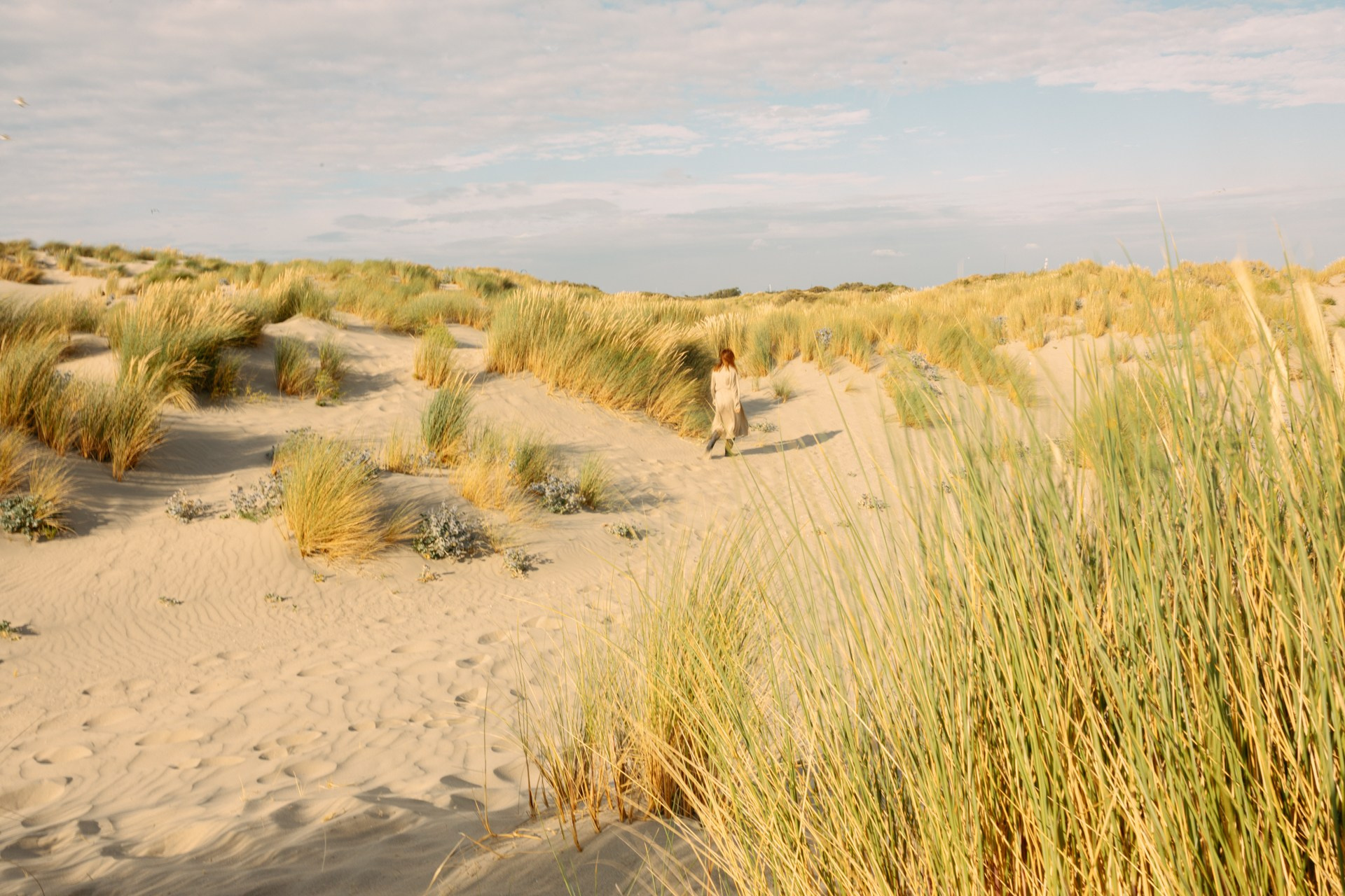 In the Dunes — Portrait Photoshoot on the Dutch Coast. Romantic & Soulful Photography by Natalia Olhova in Rotterdam