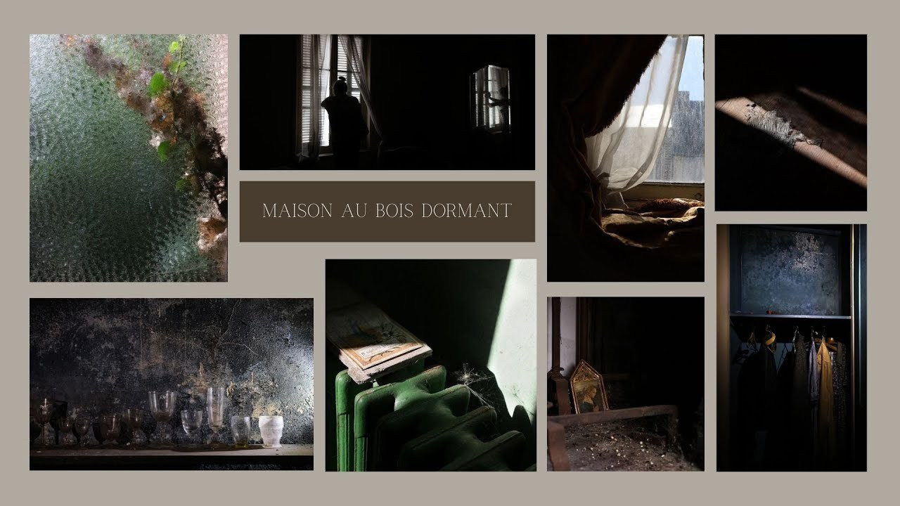 Maison au bois dormant. Natalia Bogdanovska. Films et photographie corporate en France