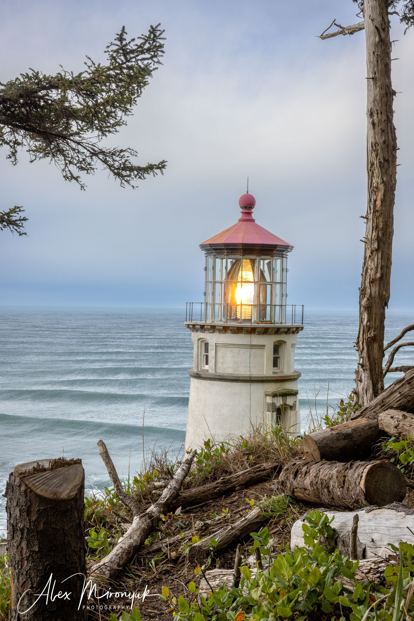 From Crater Lake to the Coast — A Photographer’s Journey. Pet, Senior, Landscape, portrait studio, photographer in Miami and Sou