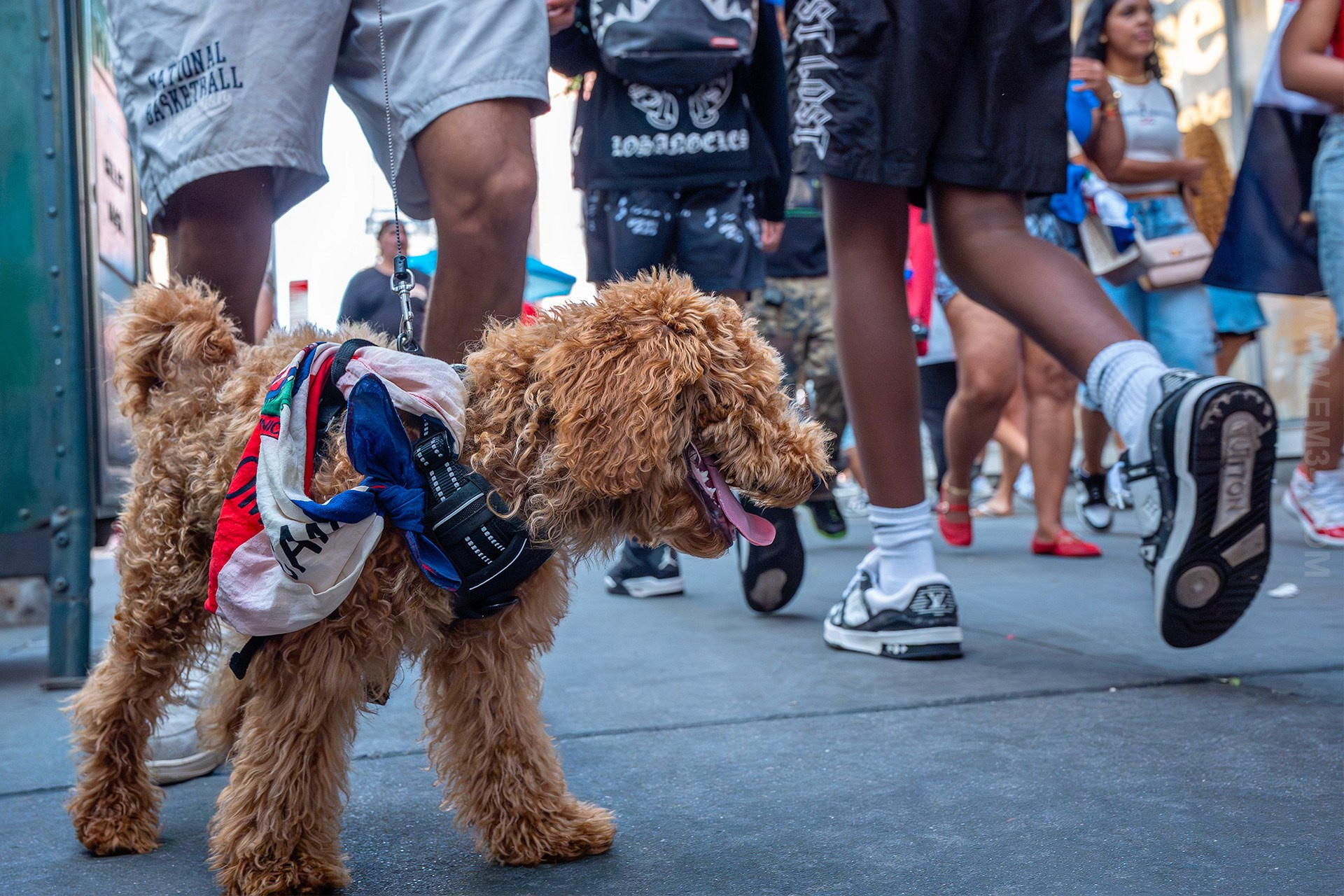 Dominican Day Parade NYC Photos — Sony A9 III + 16-35mm GM Lens Capturing 42nd to 55th Street in Stunning Street Photography. Emin Kuliyev — Award-Winning Wedding Photojournalist NYC & USA | Best Wedding Photographer Known for Candid, Timeless Moments