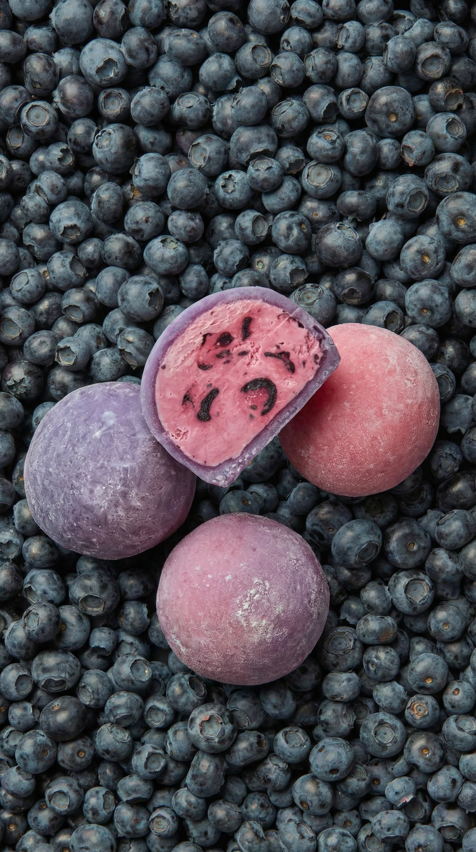 Mochi. Little Birdie – Jouw familie- en huwelijksfotograaf in België en daarbuiten