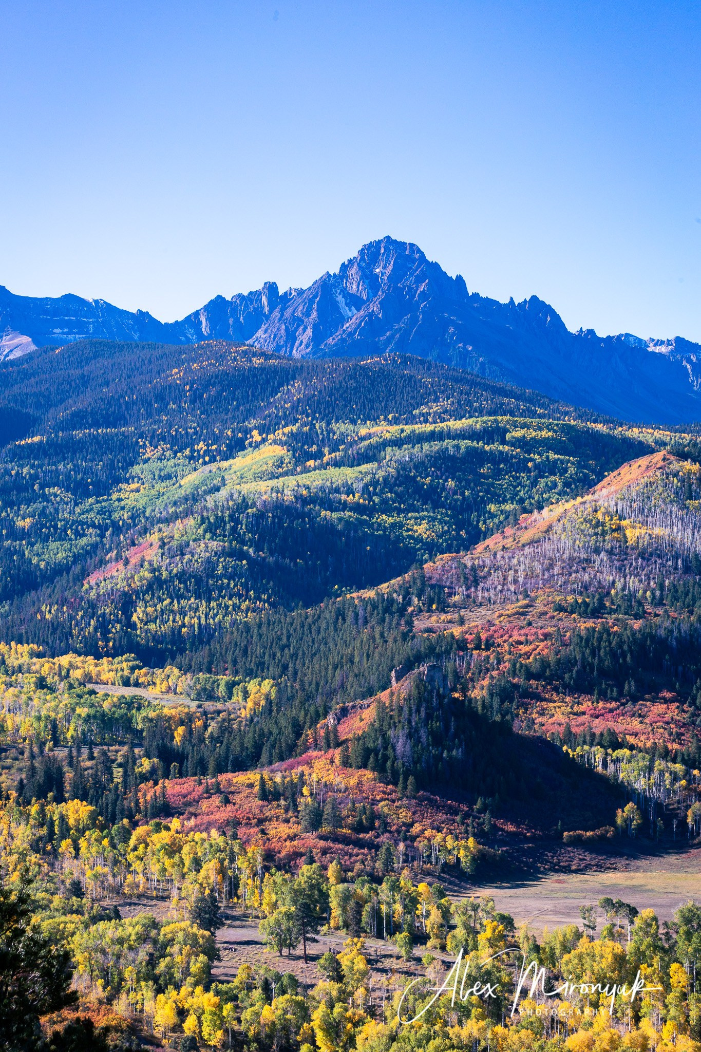 Fall Colors Of Colorado. Pet, Senior, Landscape, portrait studio, photographer in Miami and Sou