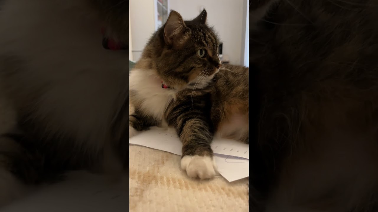 Что такое современное искусство простыми словами?. Школа современного искусства Лени Сморагдовой