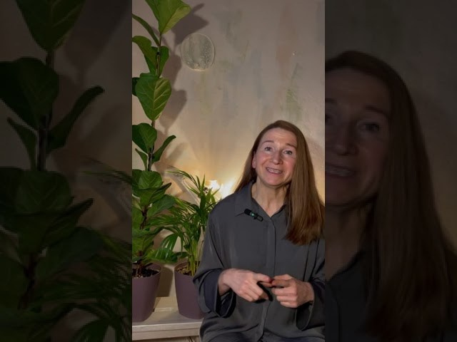 Видео Лаборатория. Ekaterina Media