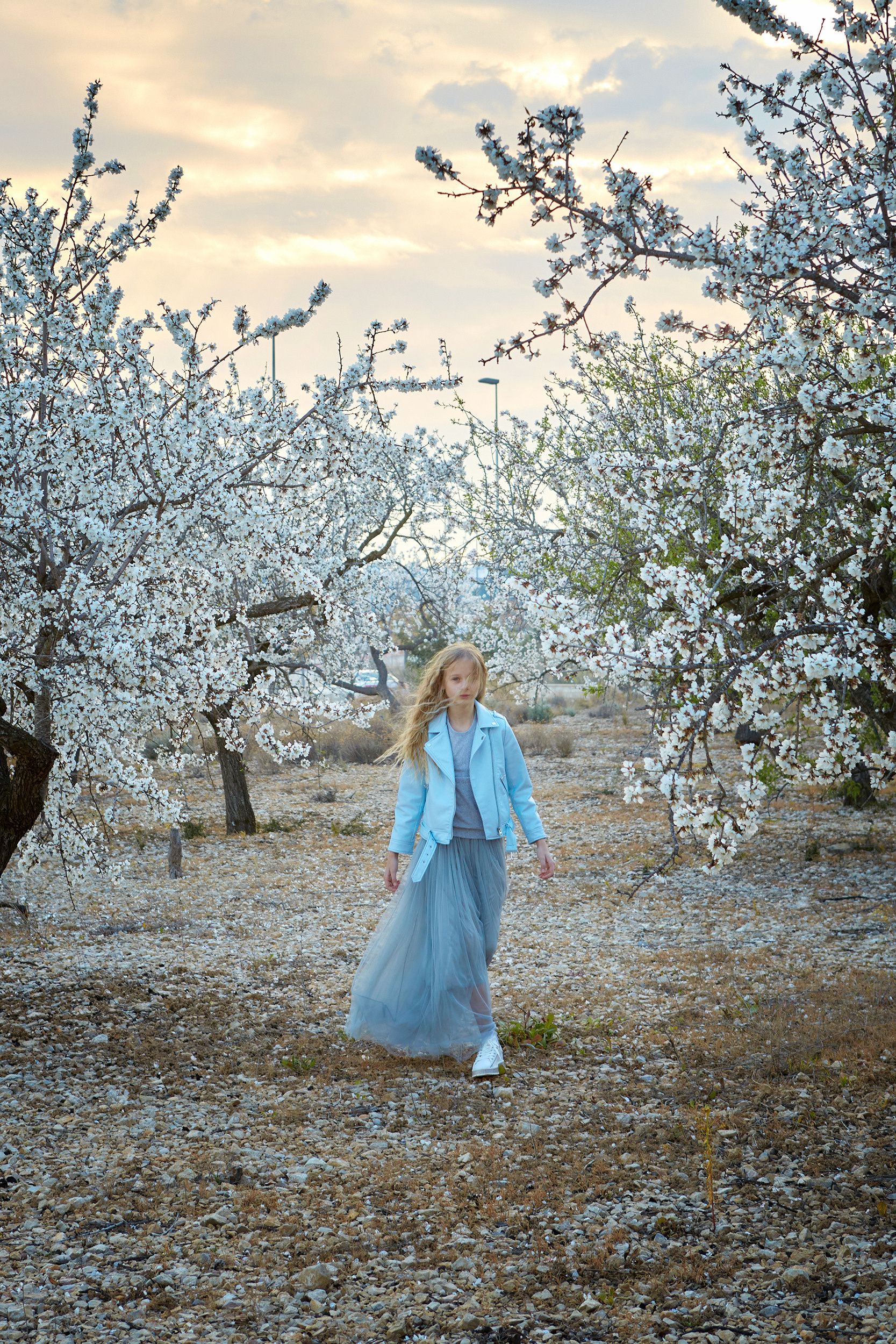 Миндаль. NATALYA FOTOS FOTOGRAFO ALTEA - ALICANTE Семейный фотограф в Аликанте