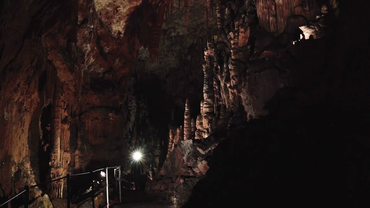 Projekti. Фотограф и видеограф Мария Бортякова из Словении: событийная, портретная и видеосъемка по всей Словении