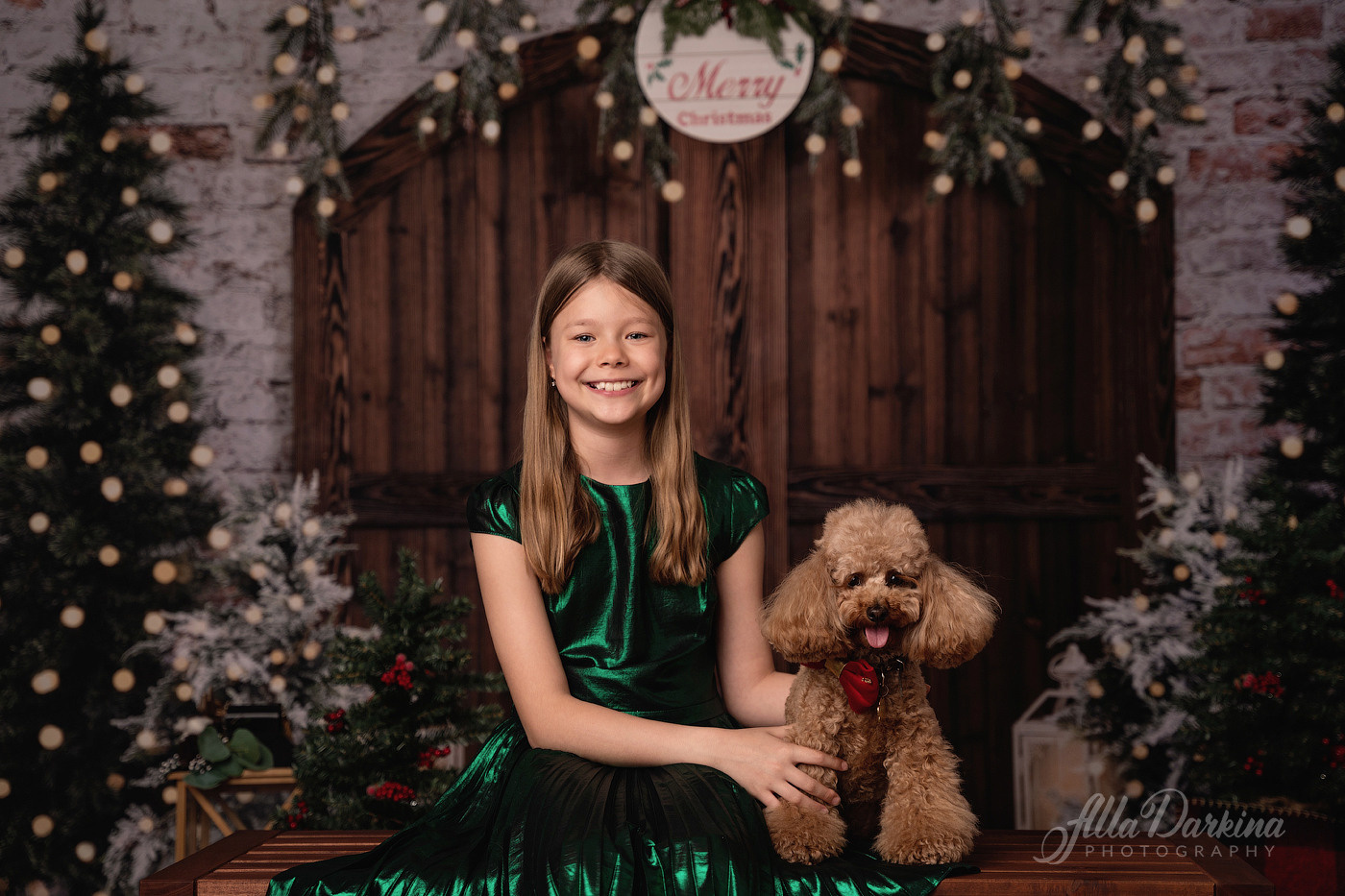 Christmas mini sessions 2022| Sydney. Newborn and family photographer. Hills District. Sydney