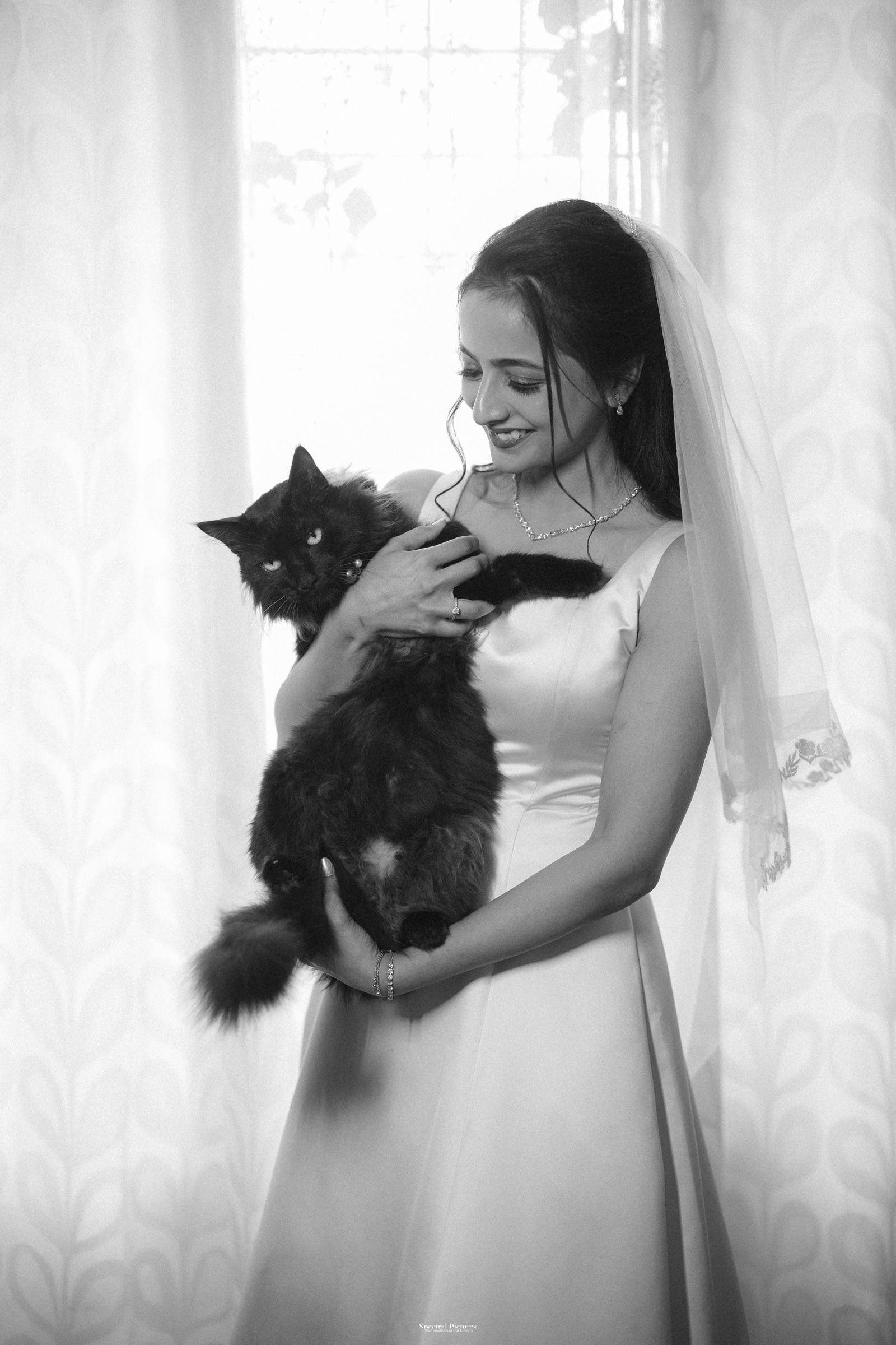Edward & Shanon. Spectral Pictures