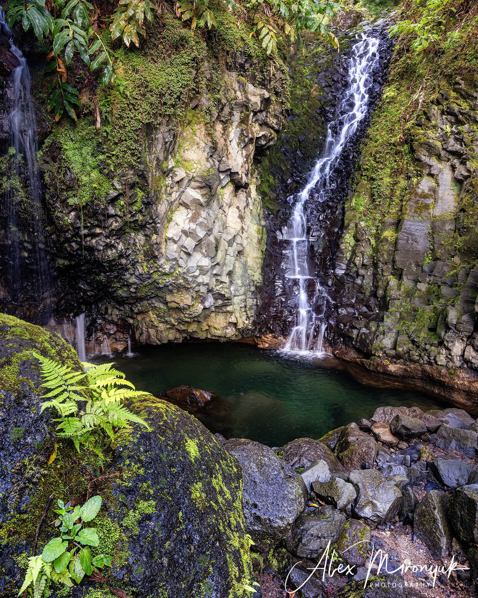 Azores And Madeira. Alex Mironyuk Photography
