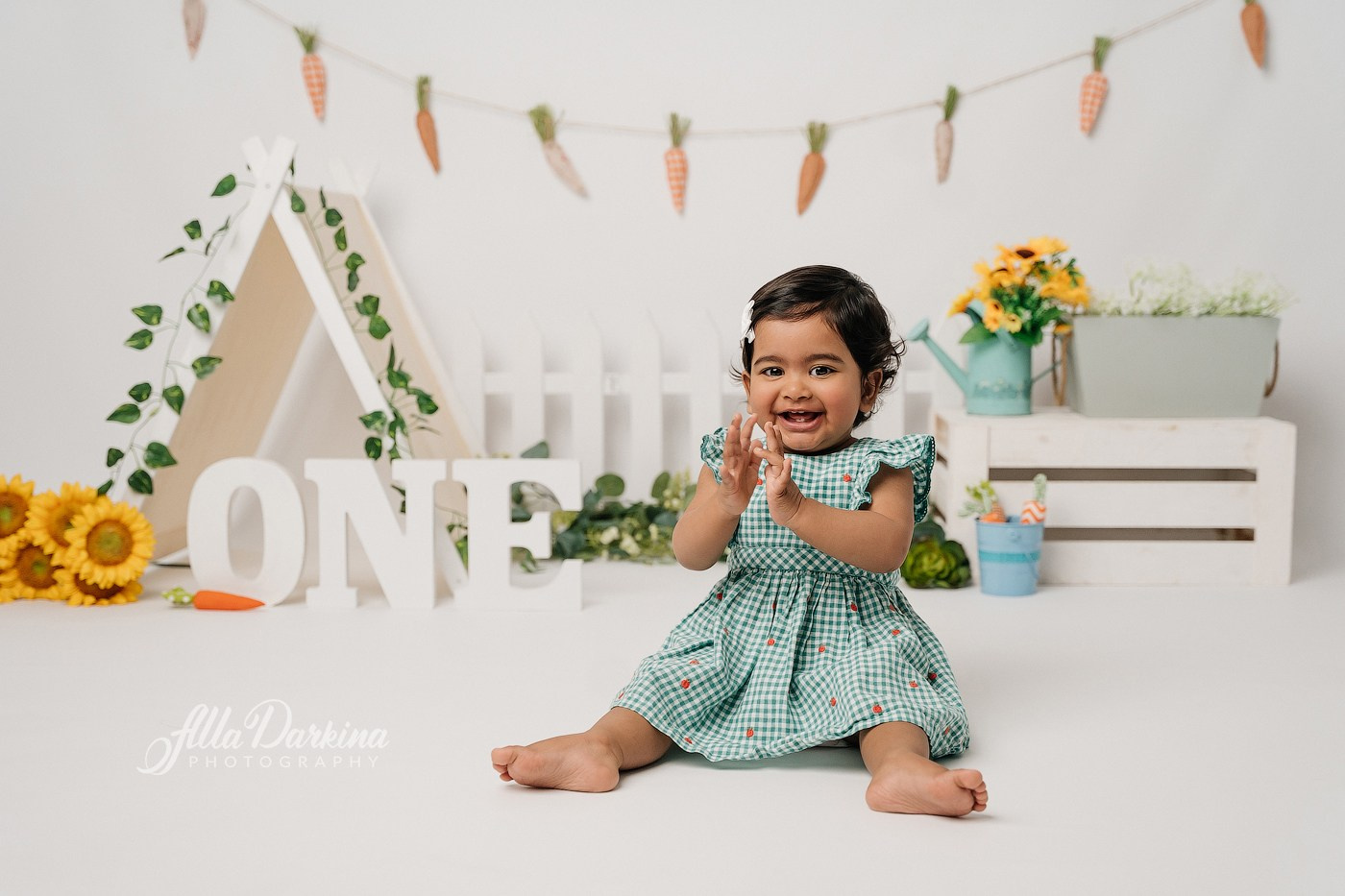 First birthday celebration. Newborn and family photographer. Hills District. Sydney