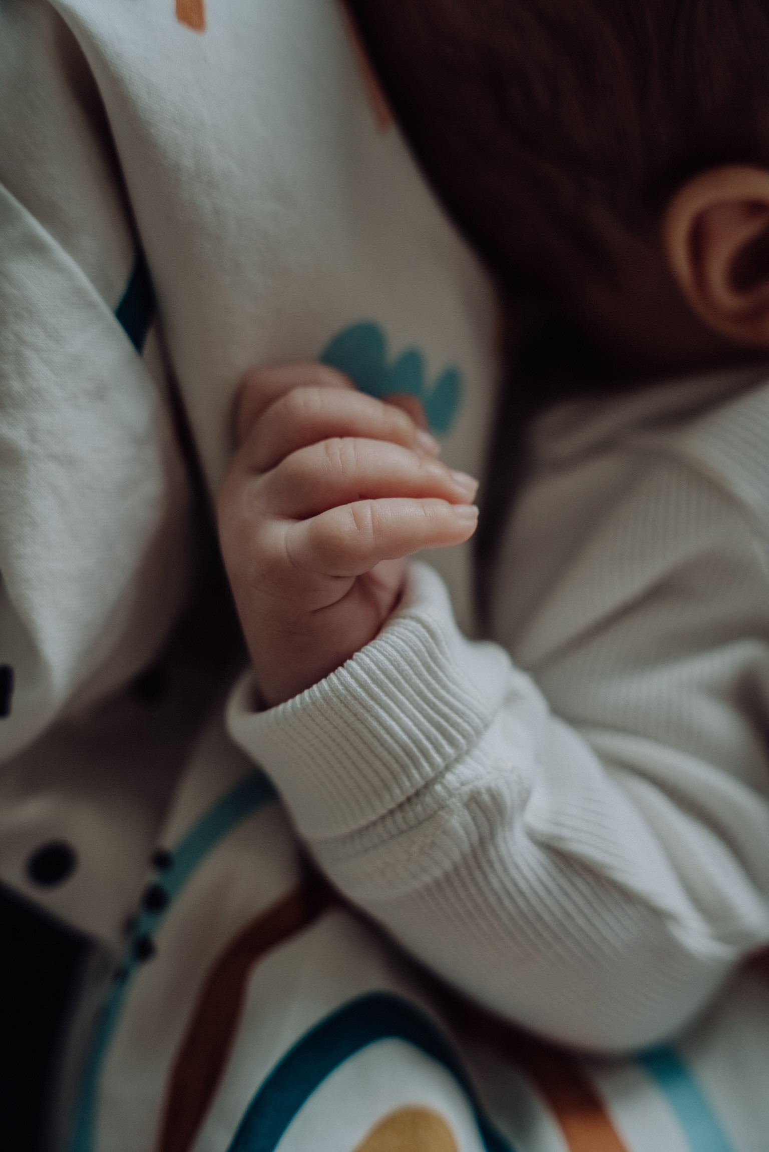 Veronika & Jaroslav Family. Rodinna fotografka Plzen Anita Dergachova