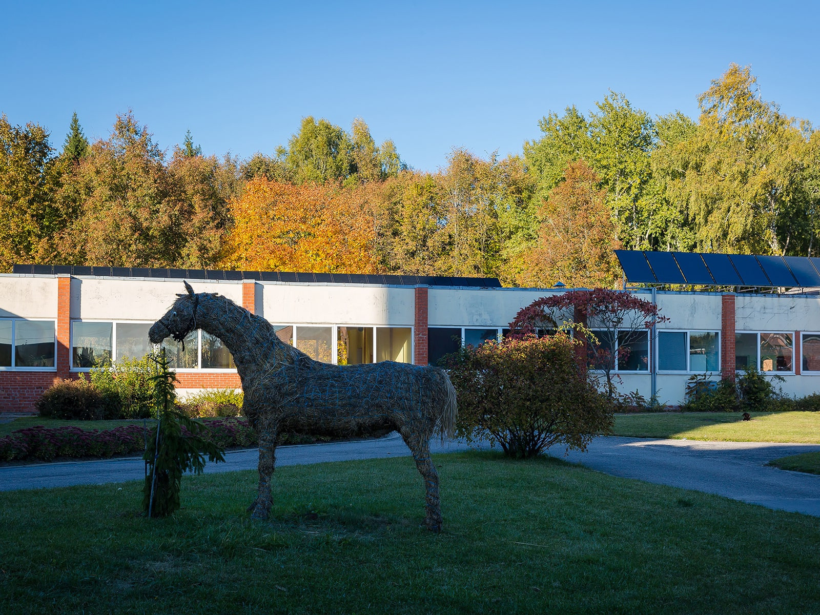 Labākie projekti. Saules paneļu pārdošana un uzstādīšana
