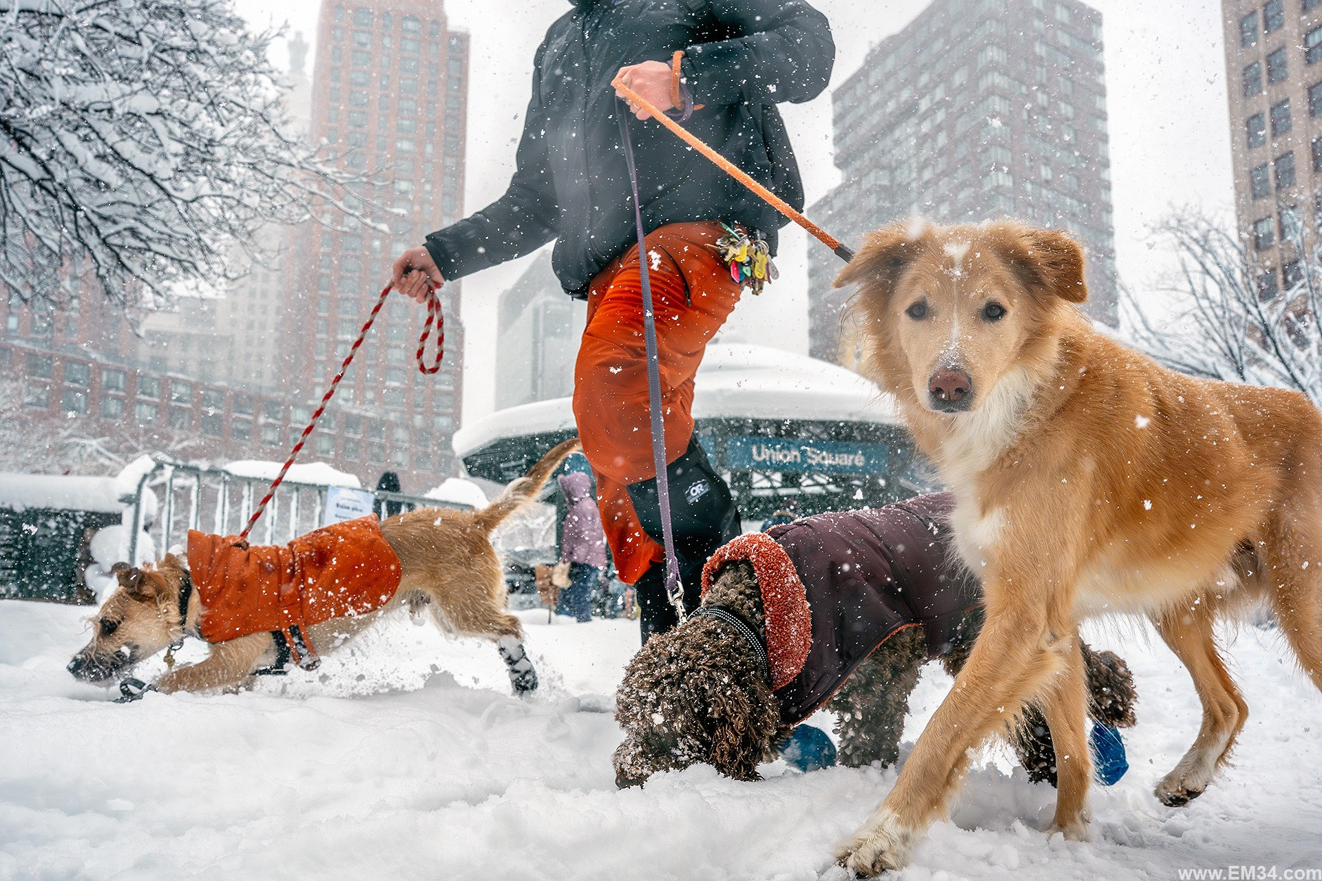 Blizzard in Manhattan, New York — two days ago. After 25 years here I braved the freezing storm to capture fairy-tale snow at iconic spots. Emin Kuliyev — Award-Winning Wedding Photojournalist NYC & USA | Best Wedding Photographer Known for Candid, Timeless Moments