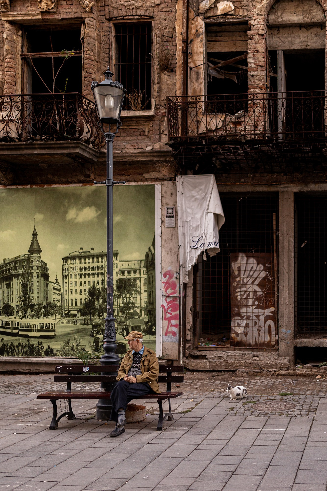 A Creative Insight | Catalin Nastase