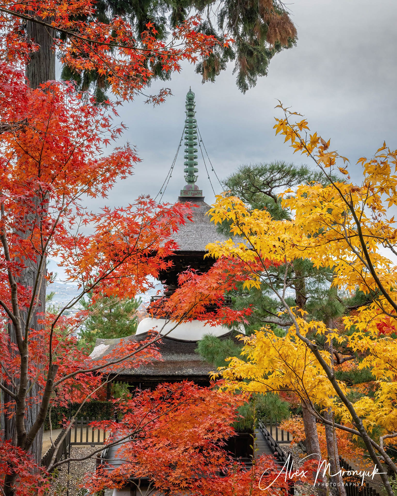 Autumn Colors of Japan. Pet, Senior, Landscape, portrait studio, photographer in Miami and Sou