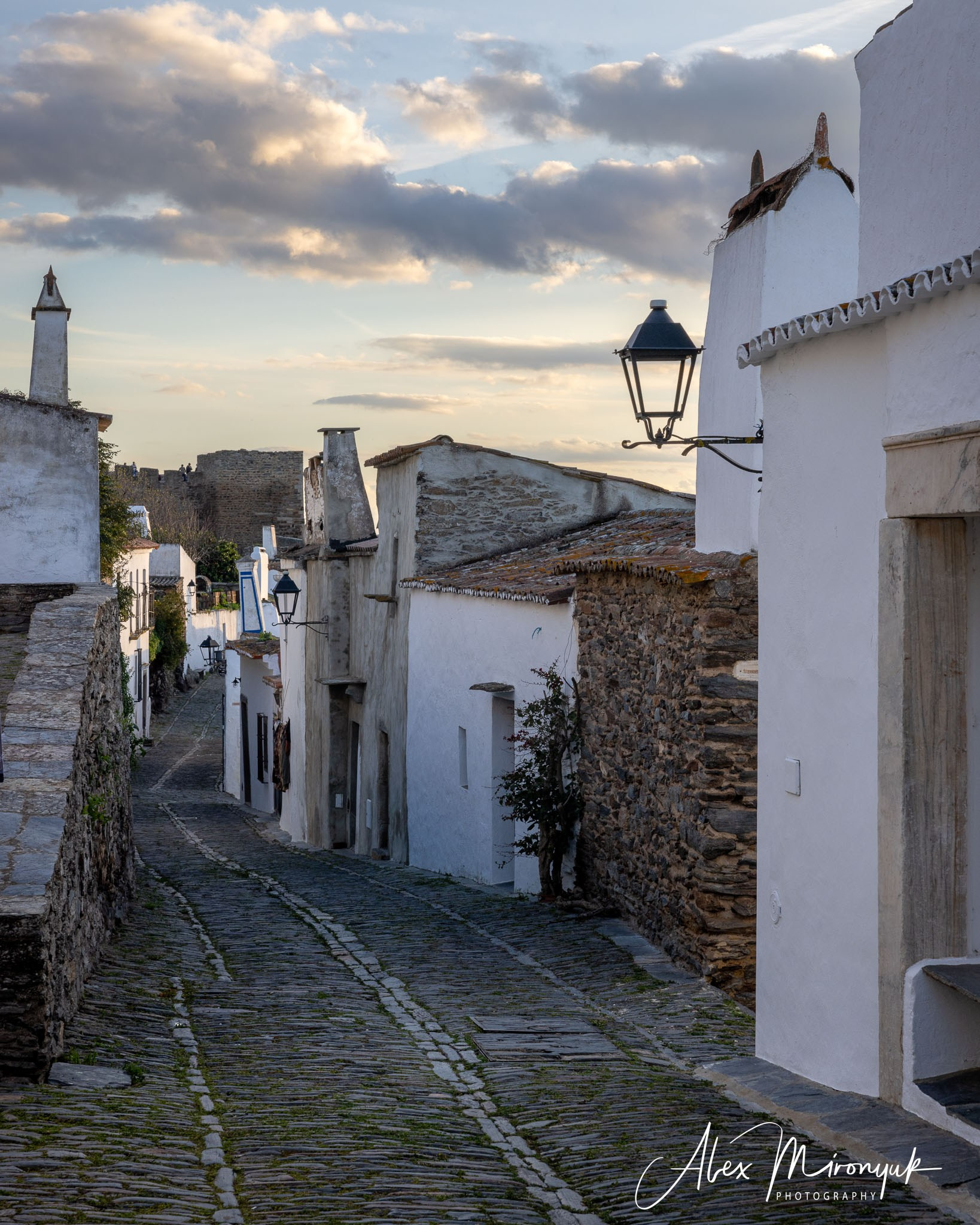 Portugal’s Scenic Treasures. Pet, Senior, Landscape, portrait studio, photographer in Miami and Sou