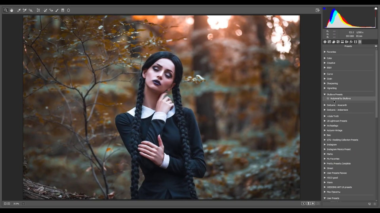 Download free presets. Photographer and retoucher Elena Skullova