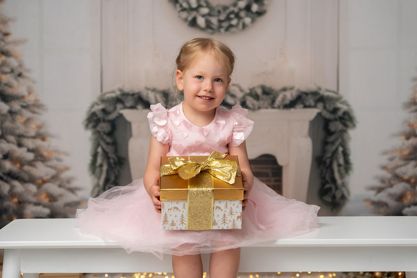 Christmas mini sessions 2025| Sydney. Newborn and family photographer. Hills District. Sydney