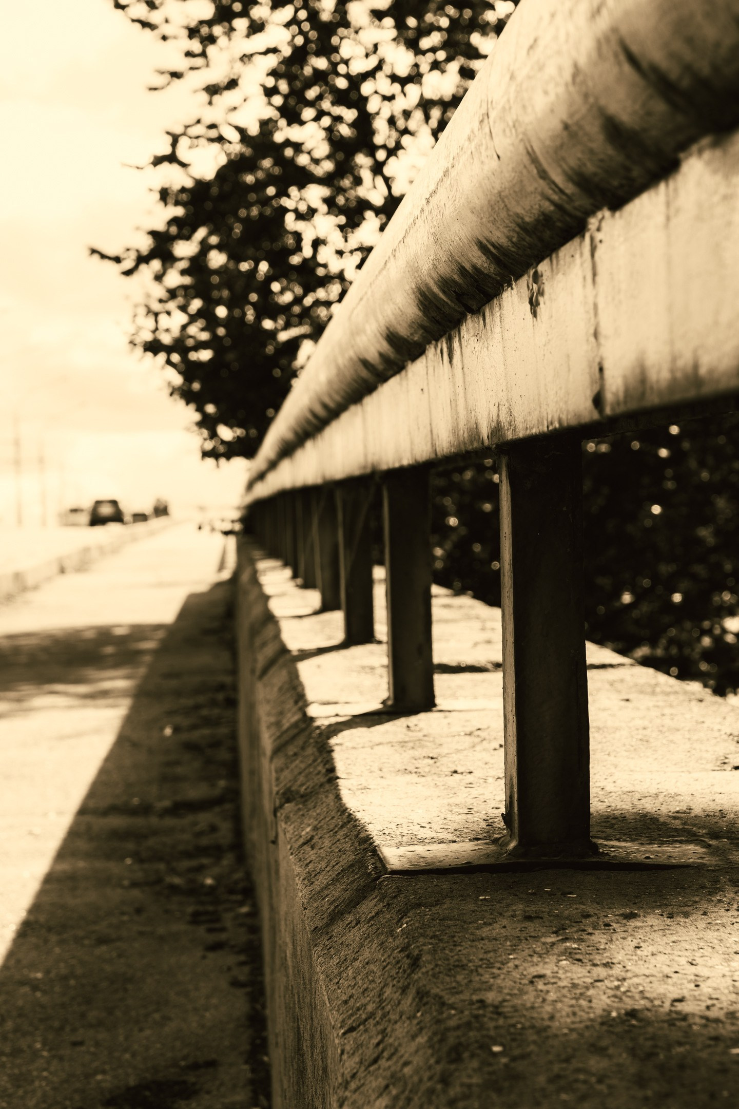 Nebula 25 — Fotod teie hingele