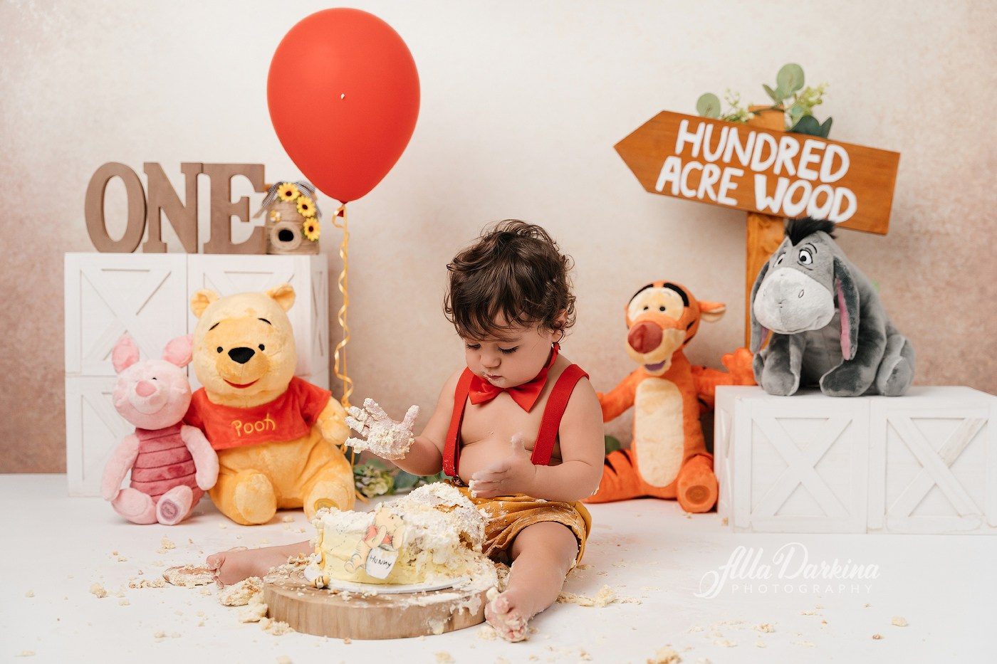 Winnie The Pooh cake smash session. Newborn and family photographer. Hills District. Sydney