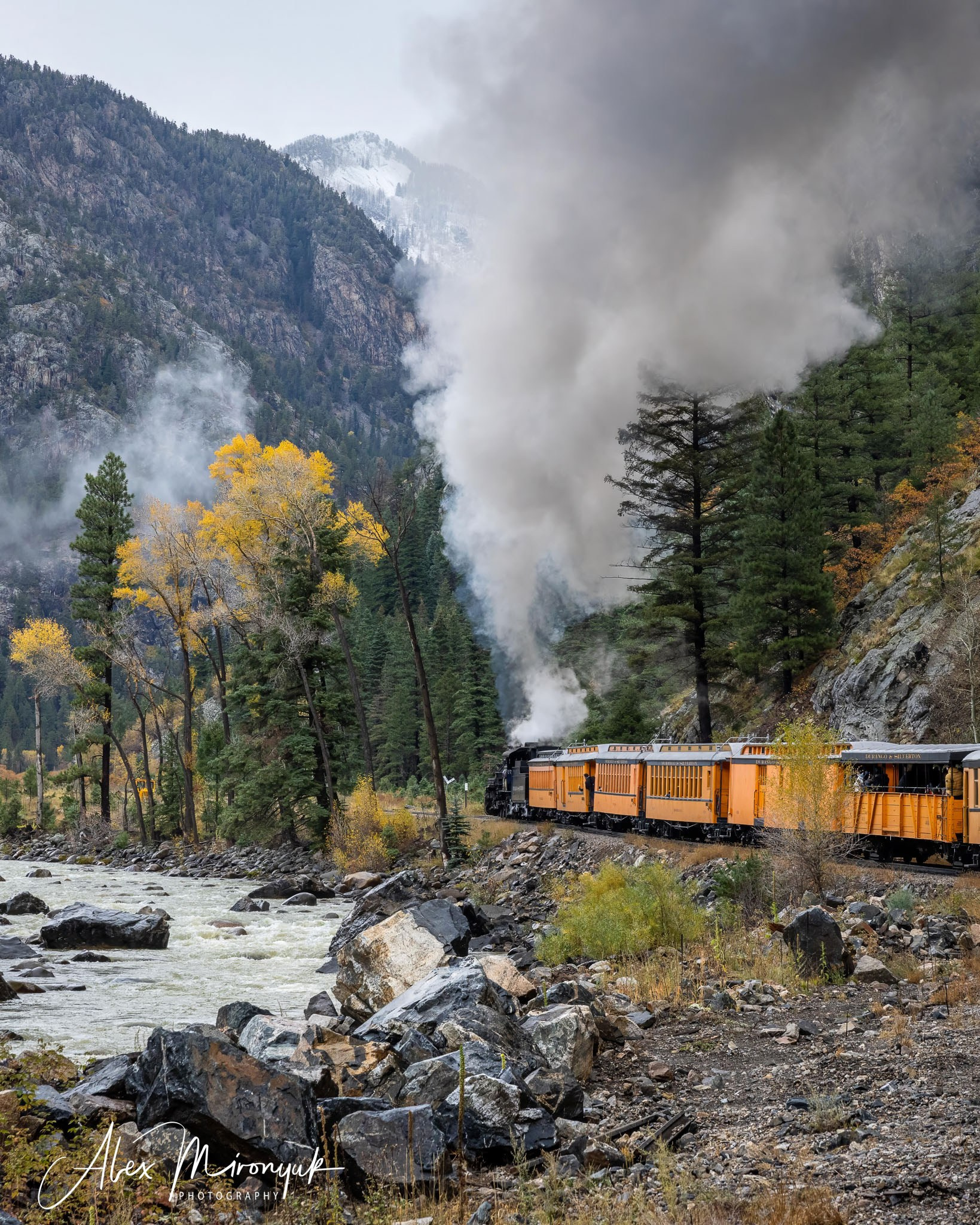 Fall Colors Of Colorado. Pet, Senior, Landscape, portrait studio, photographer in Miami and Sou