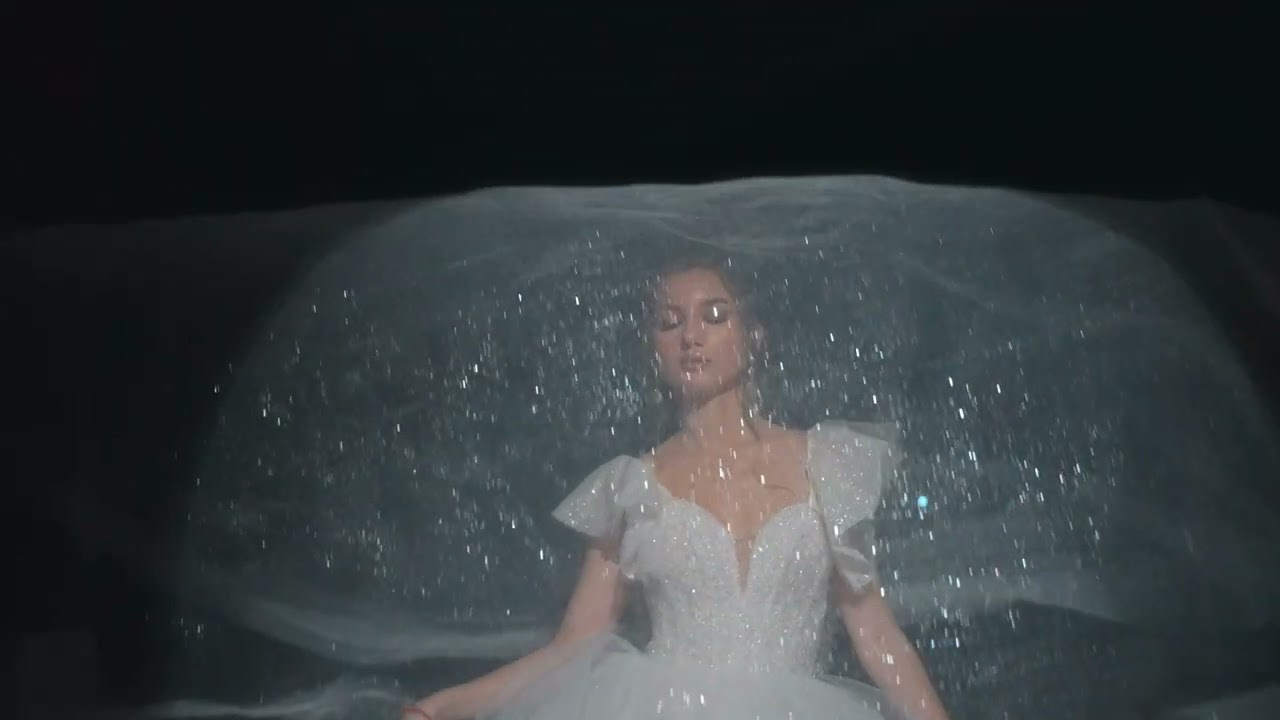 Video. Wedding Photo & Video