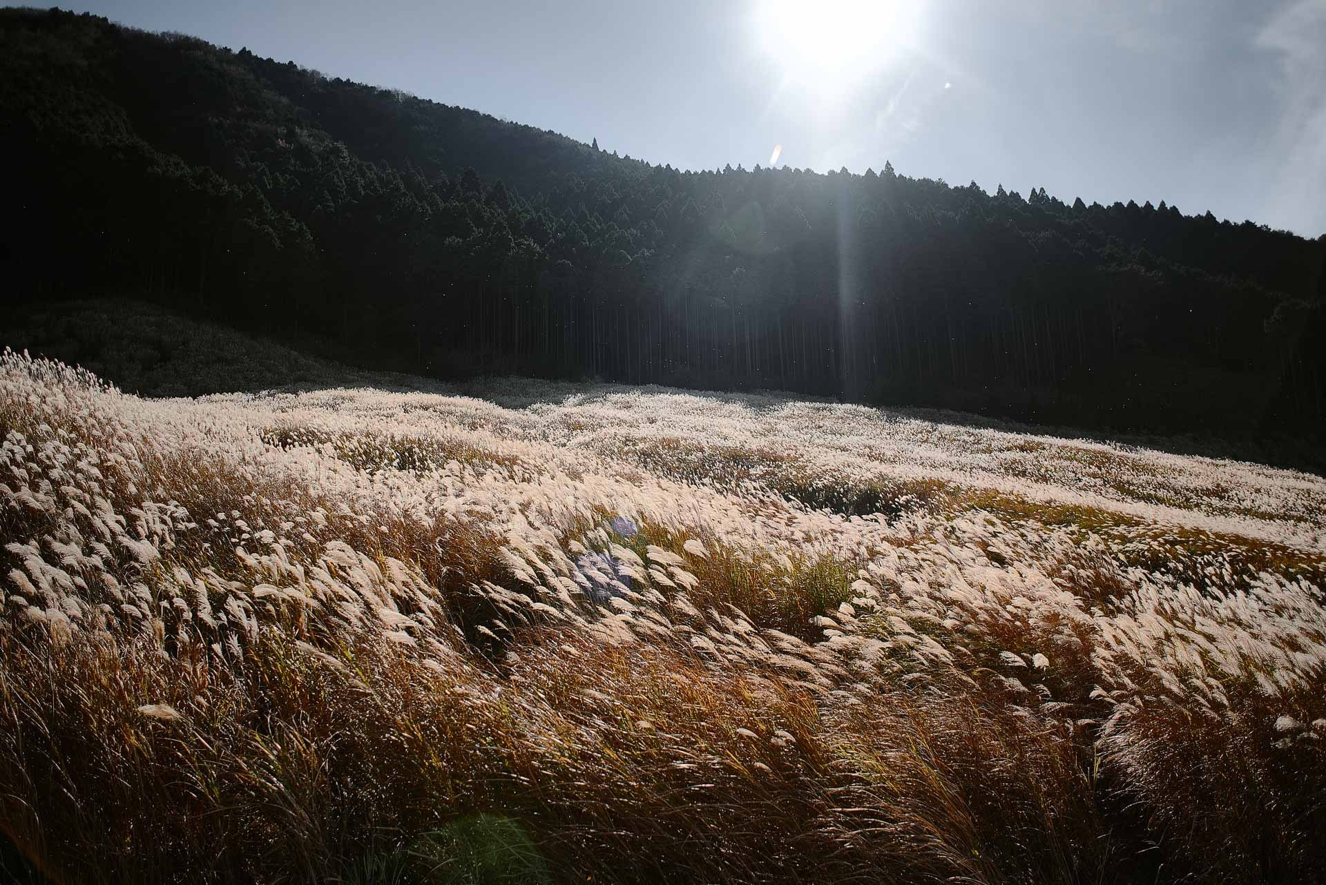 Travel Photography in Hakone & Nikko
