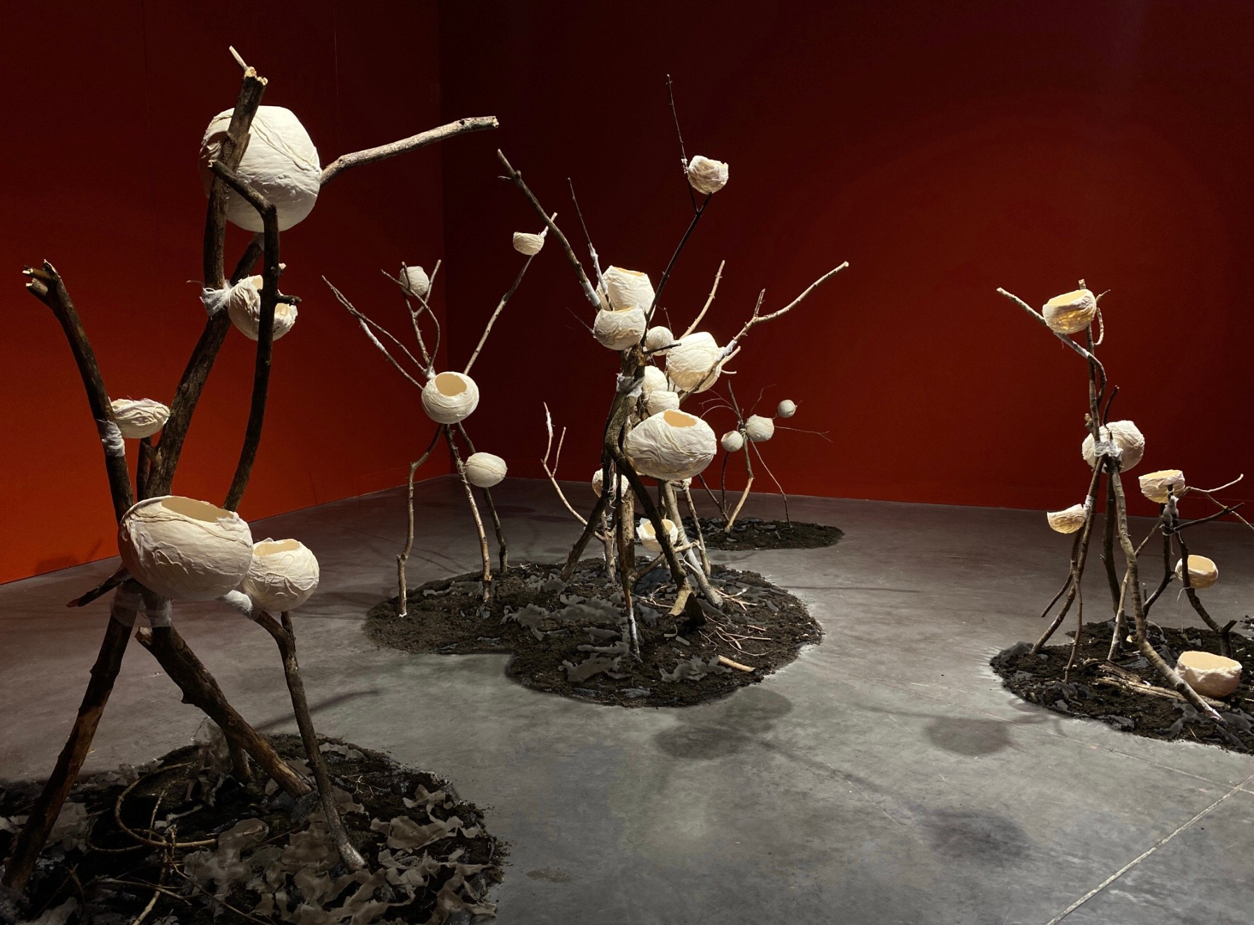 Papier, brindille, herbe, terre, Installation variable