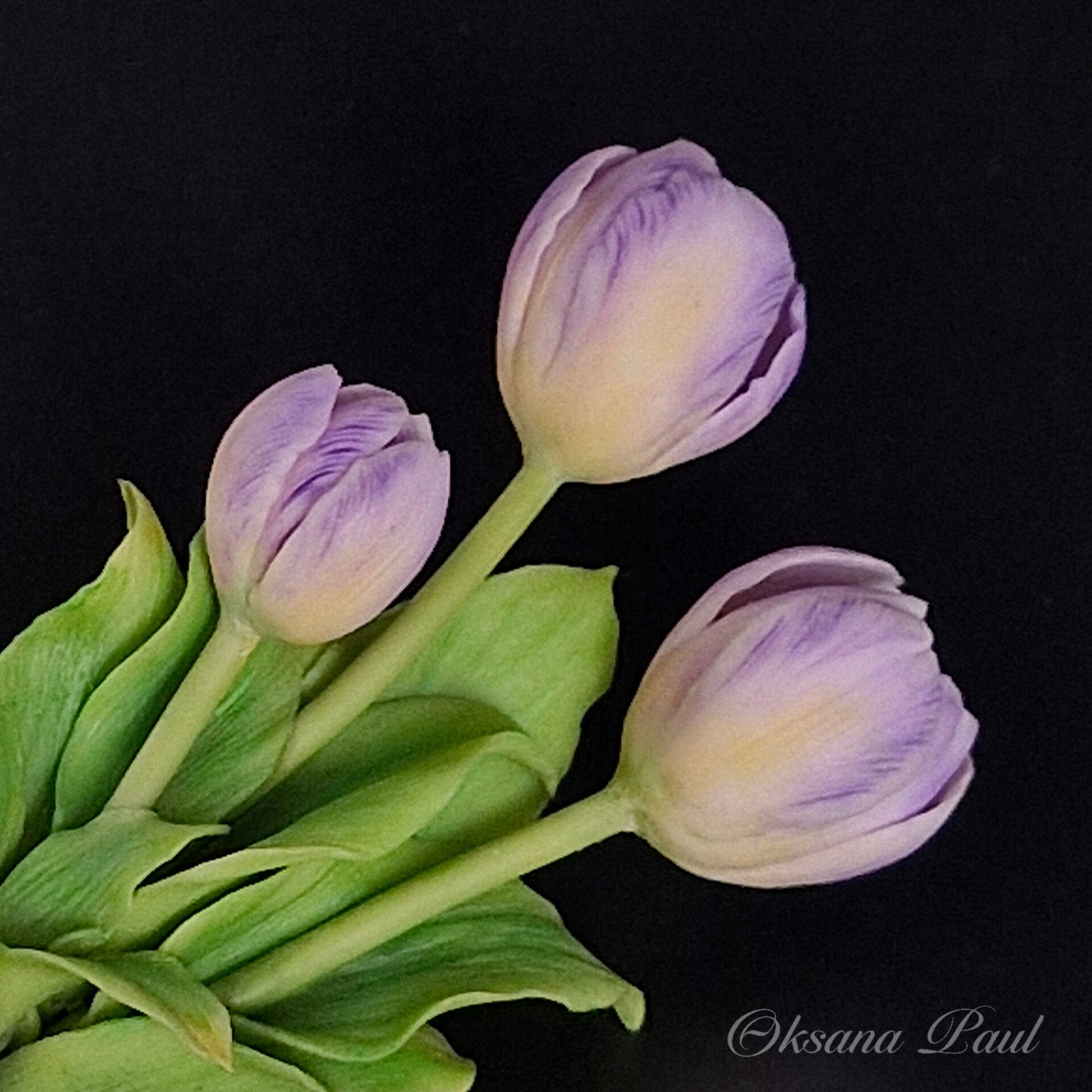 Броши с цветами / Blumen-Broschen ➜. Oksana Paul-Gardinen-Design Oksana Paul ✧ Art of Gardinen & Textile Design ✧ Polymer Clay Art & Handmade Creatures