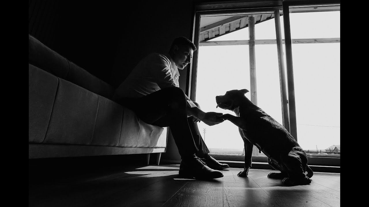 WEDDING VIDEO. Wedding and family photographer and videographer PA, NJ, NY, DE, MD