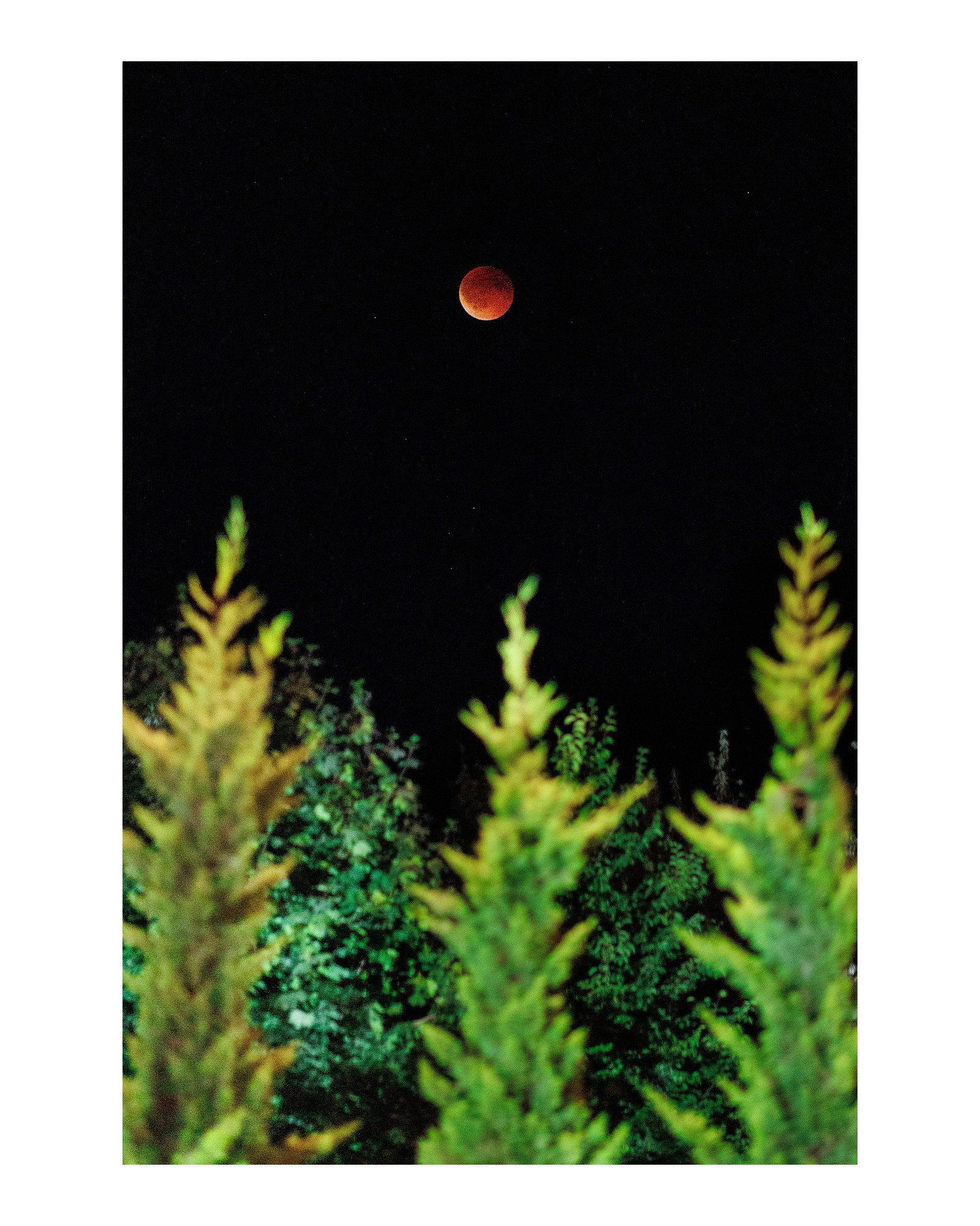 Galerie. Servicii Foto Video în Chișinău și Europa ID-Brothers