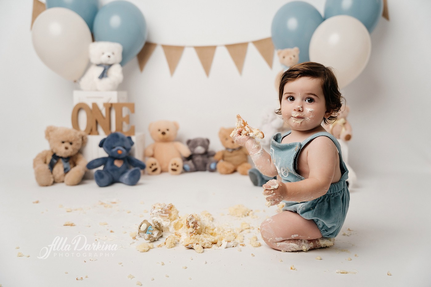 Teddy bear cake smash session. Newborn and family photographer. Hills District. Sydney